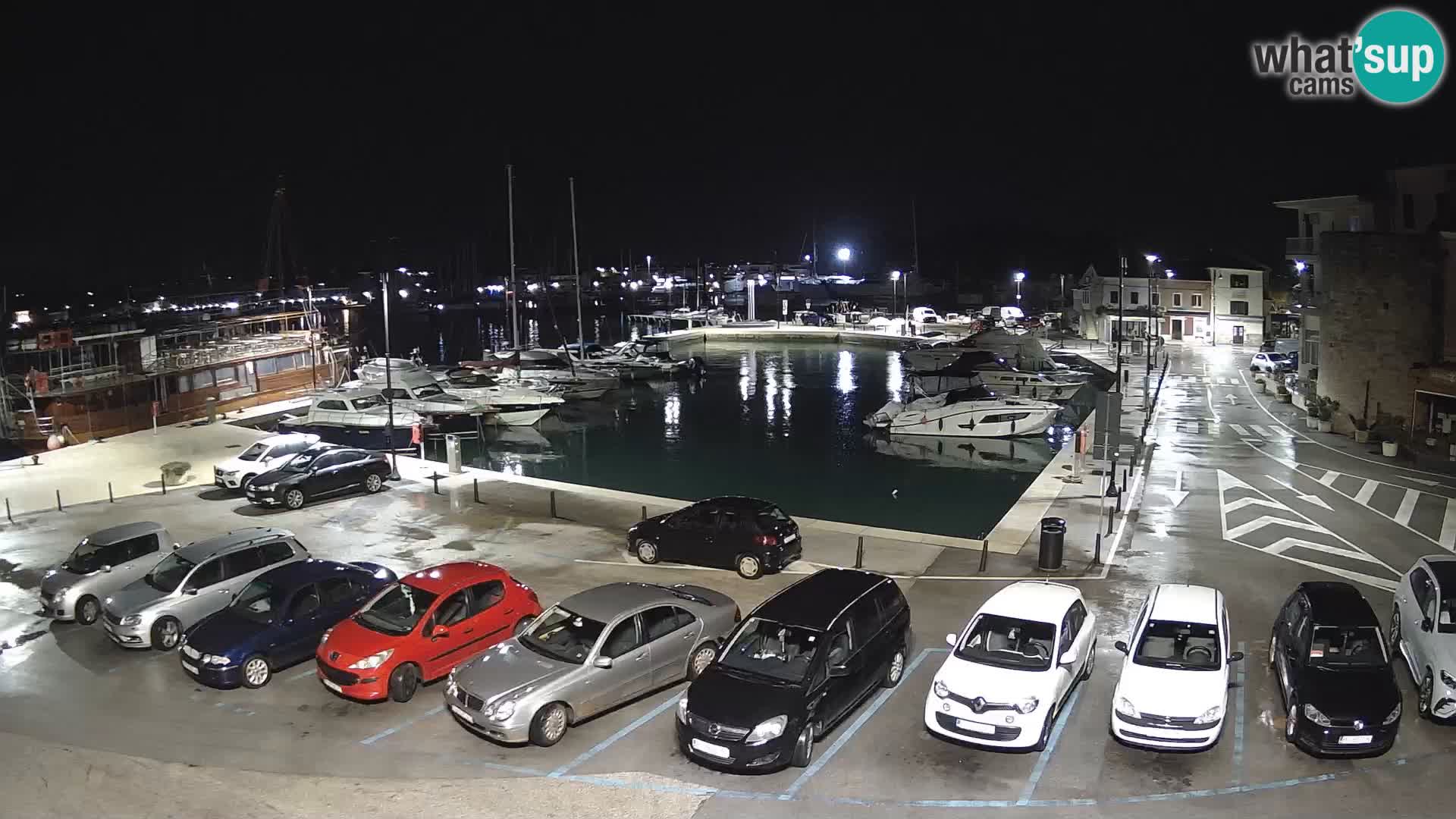 Novigrad | Porporela marina