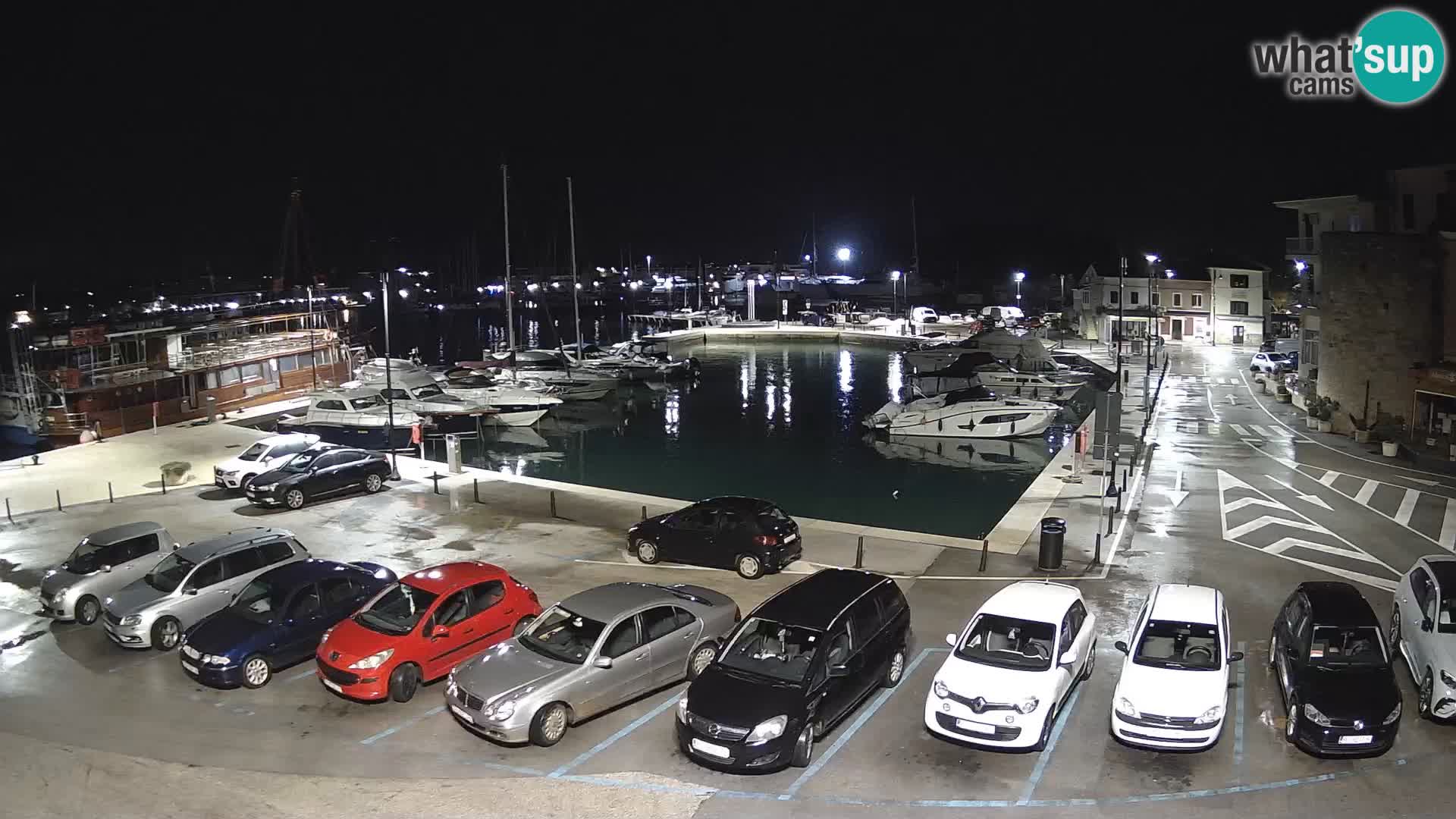 Novigrad | Porporela marina