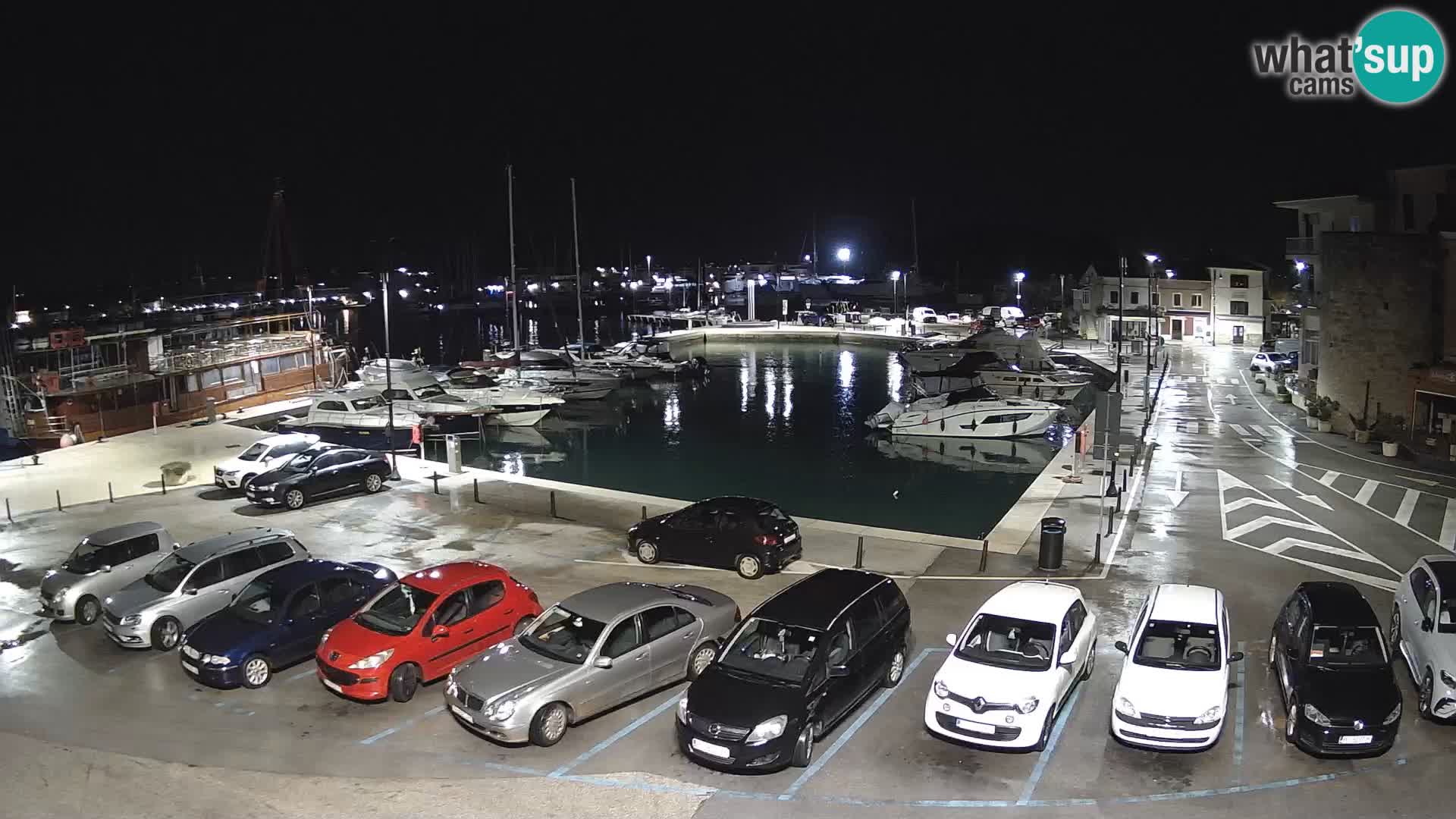 Novigrad | Porporela marina