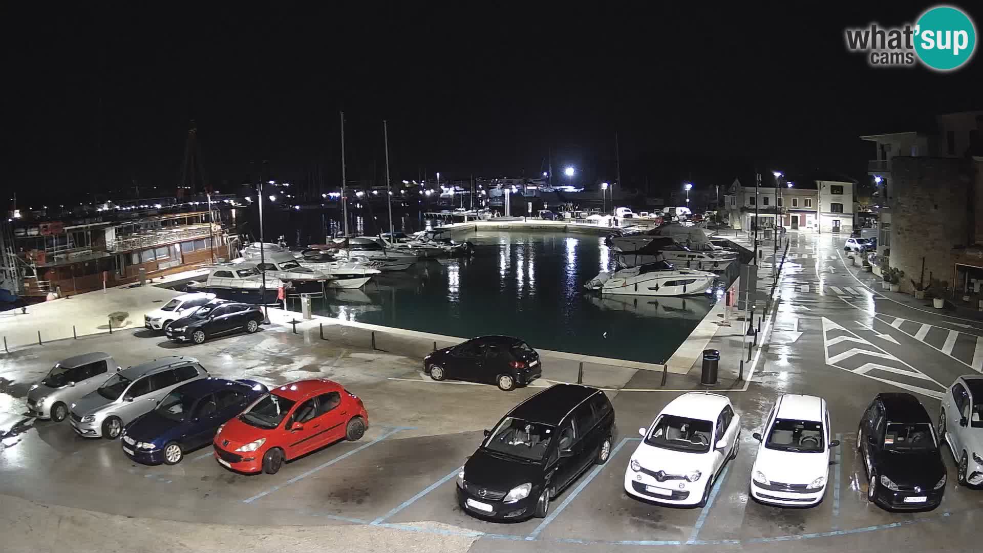 Novigrad | Porporela marina