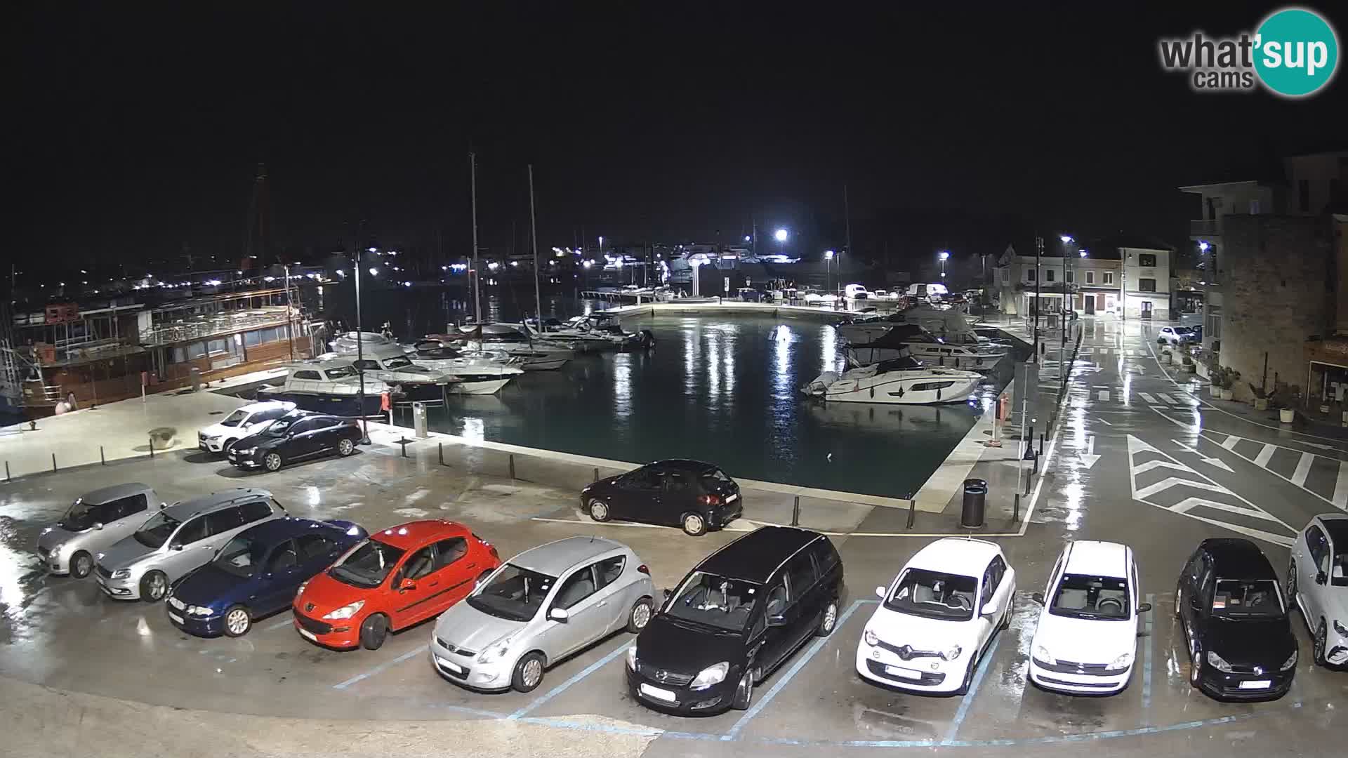 Novigrad | Porporela marina