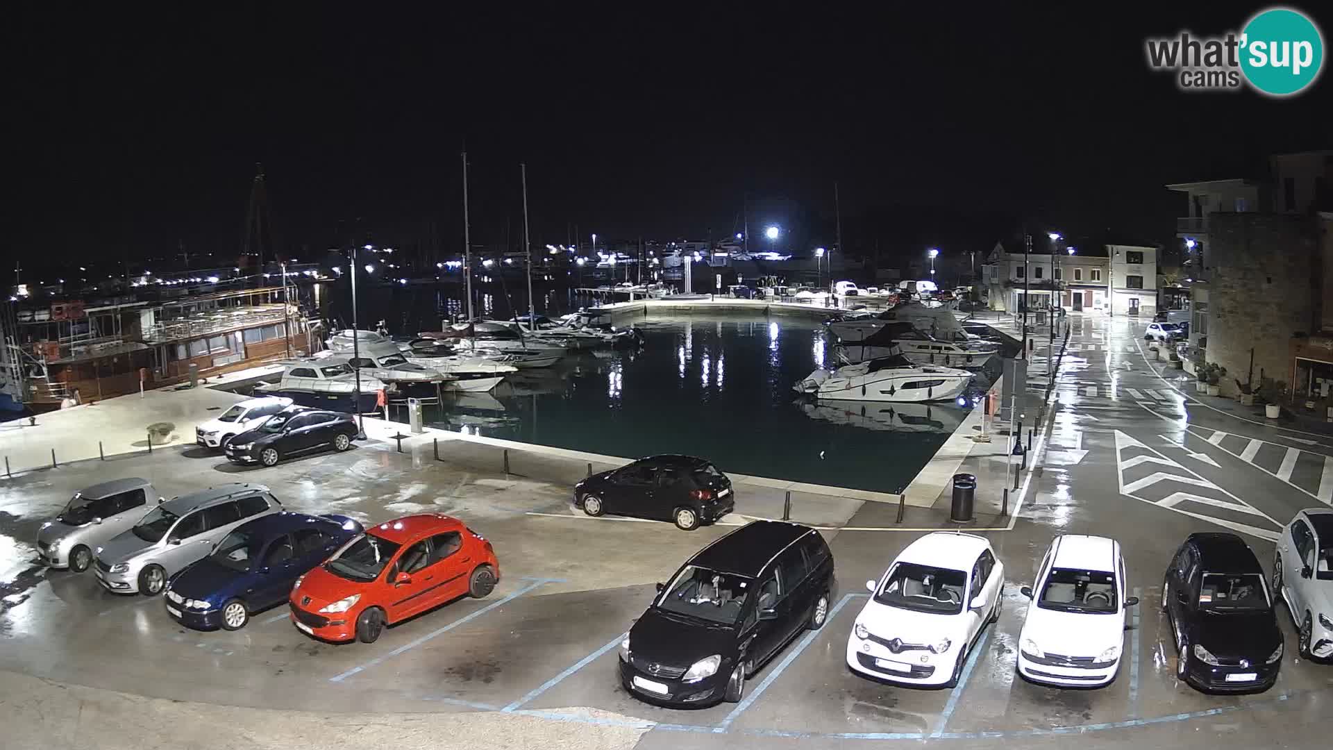 Novigrad | Porporela marina