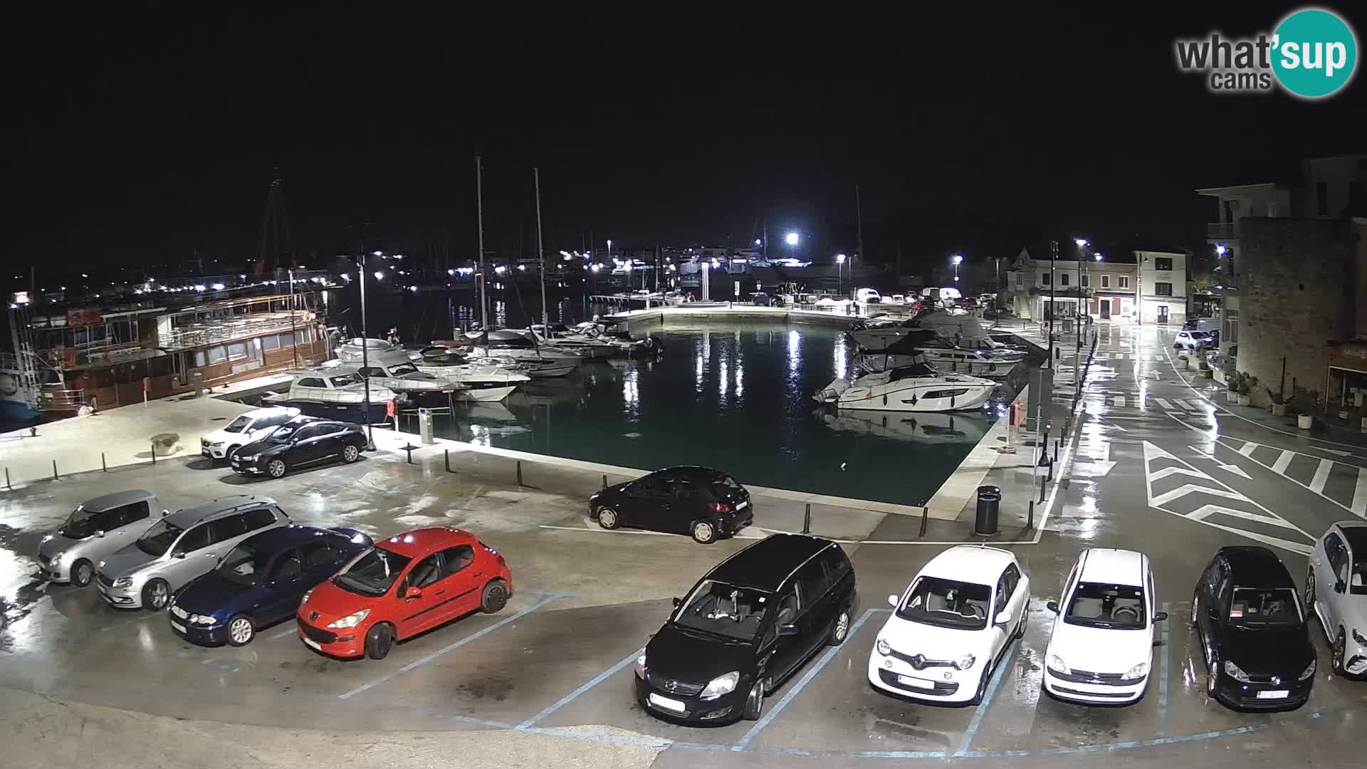 Novigrad | Porporela marina