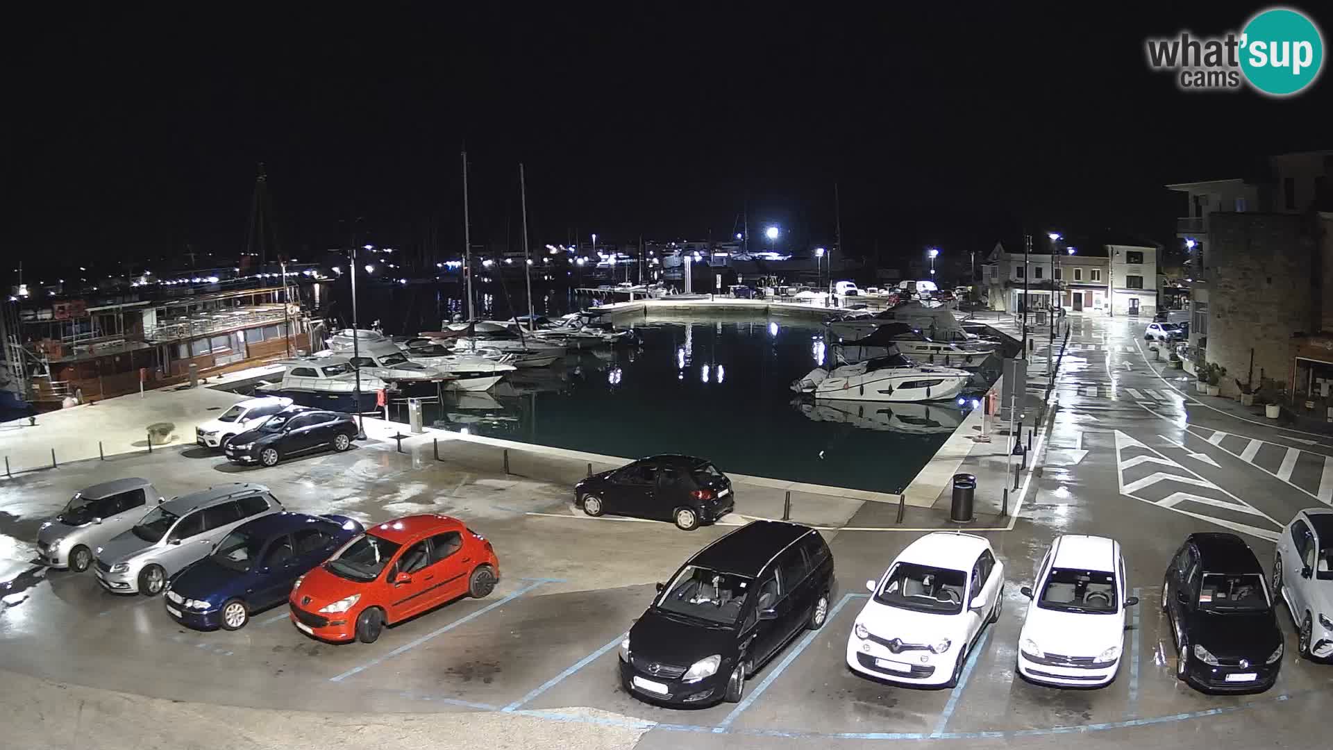 Novigrad | Porporela marina