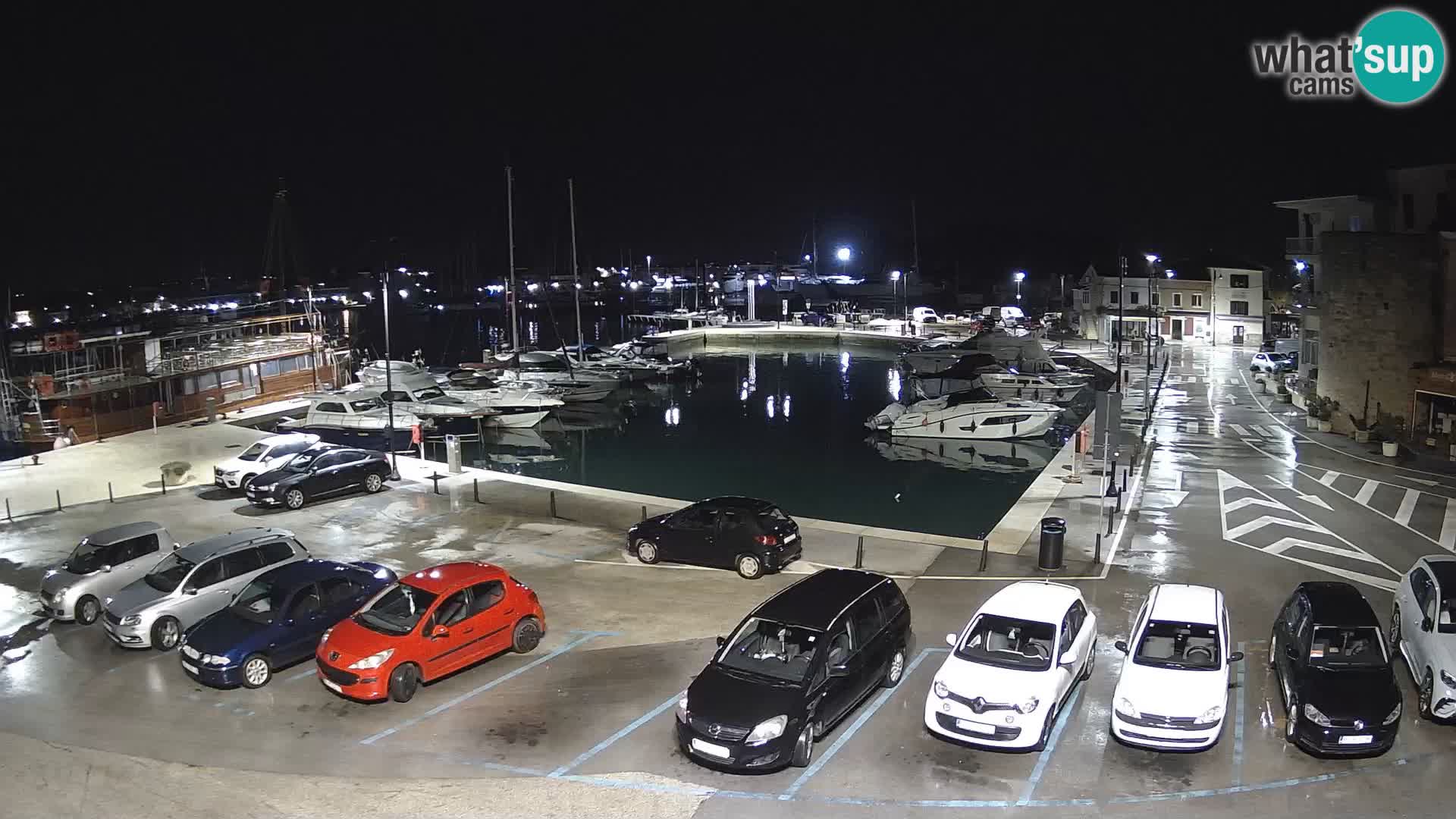 Novigrad | Porporela marina