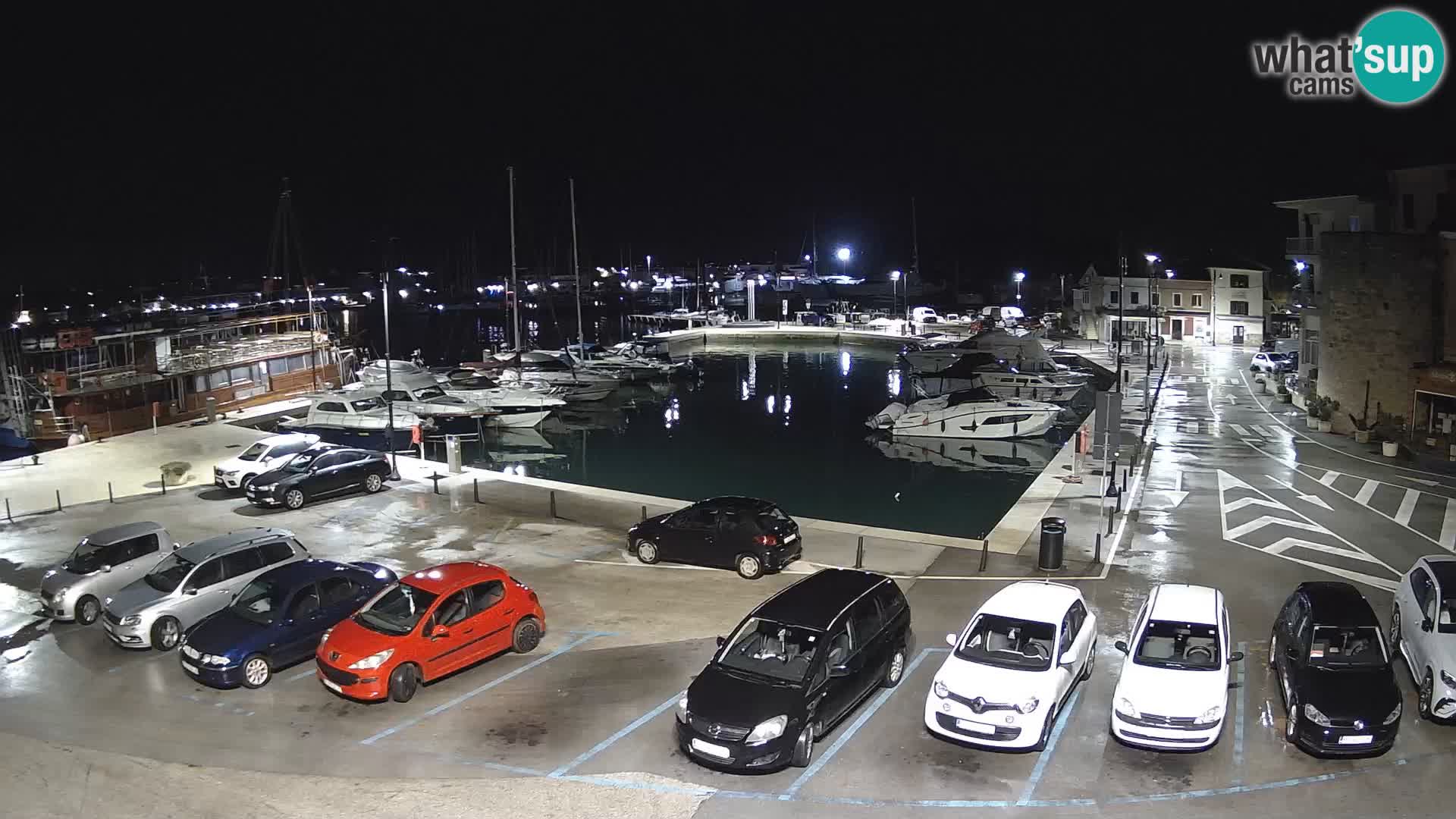 Novigrad | Porporela marina