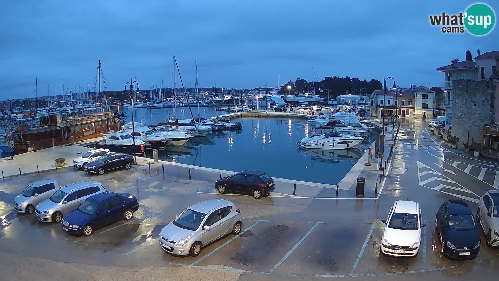 Novigrad | Porporela marina