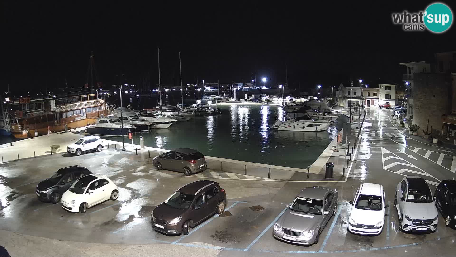 Novigrad | Porporela marina
