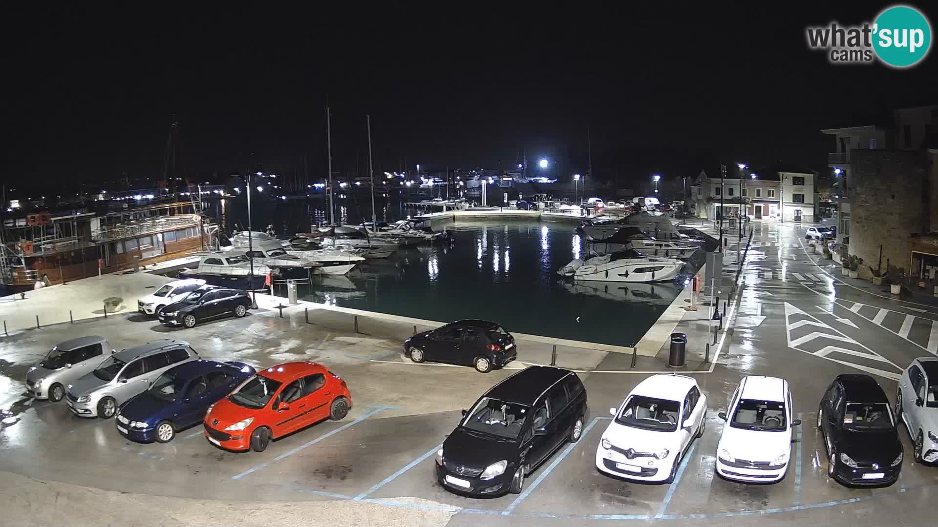 Novigrad | Porporela marina