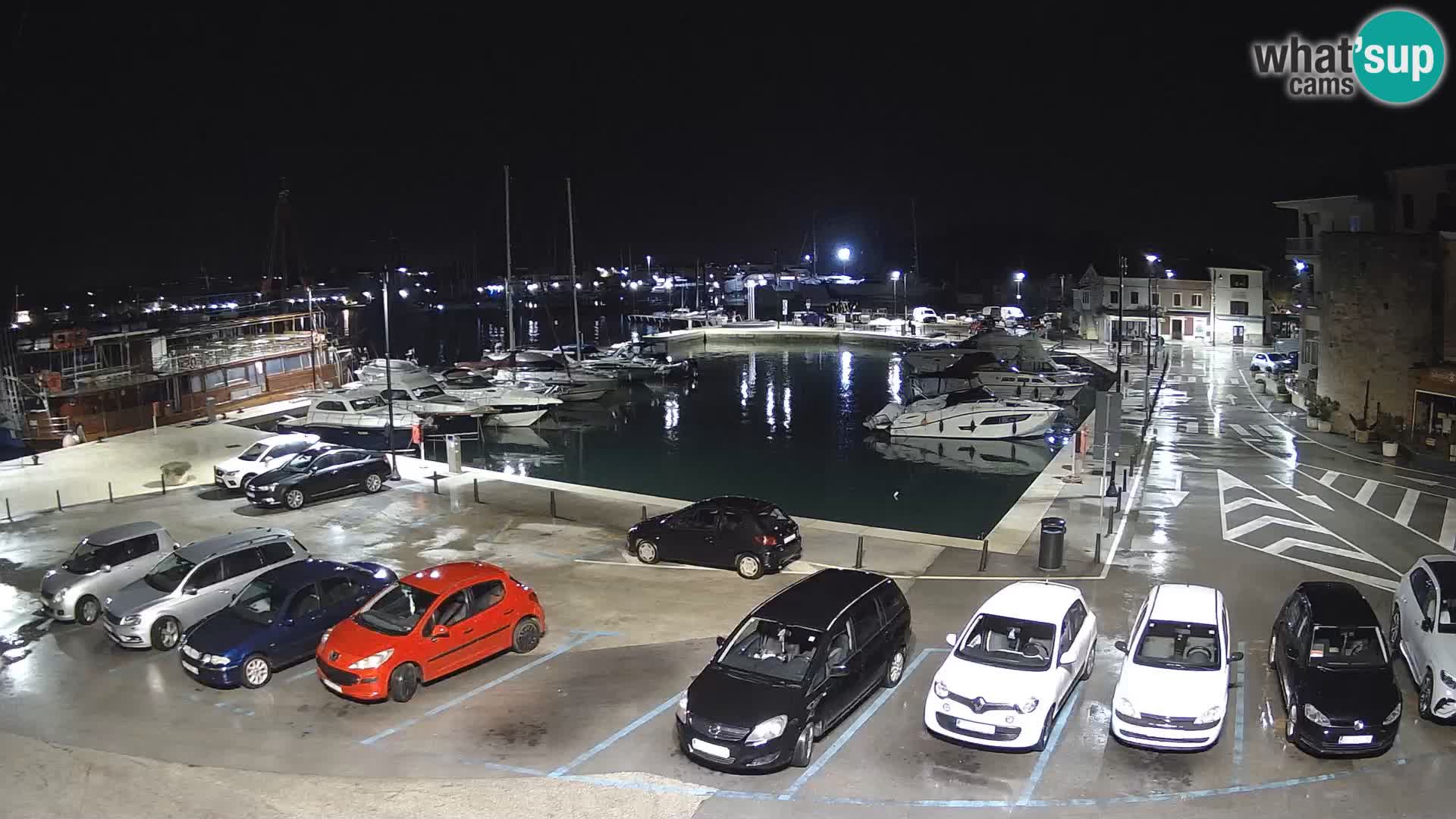 Novigrad | Porporela marina