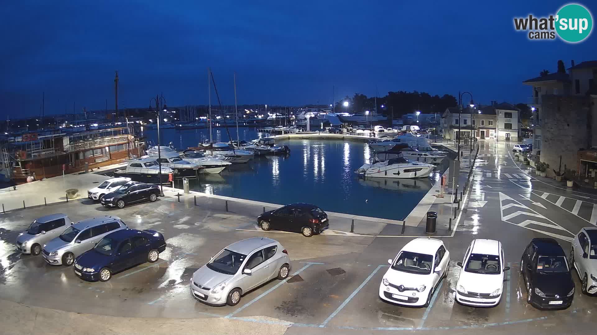 Novigrad | Porporela marina