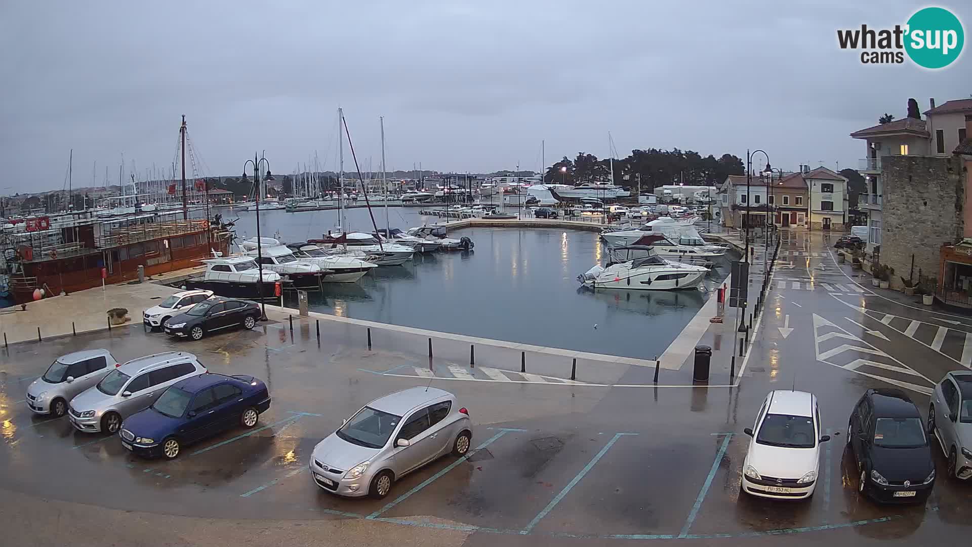 Novigrad | Porporela marina