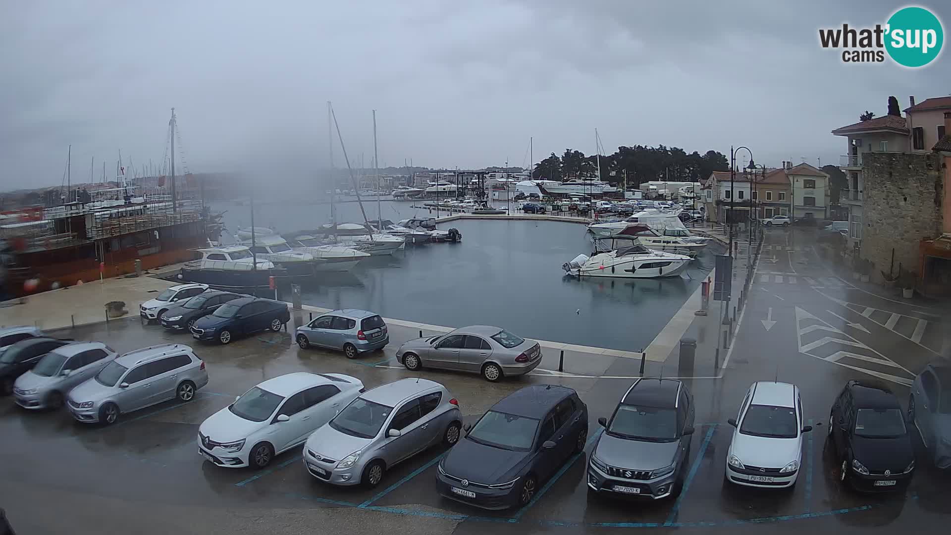 Novigrad | Porporela marina