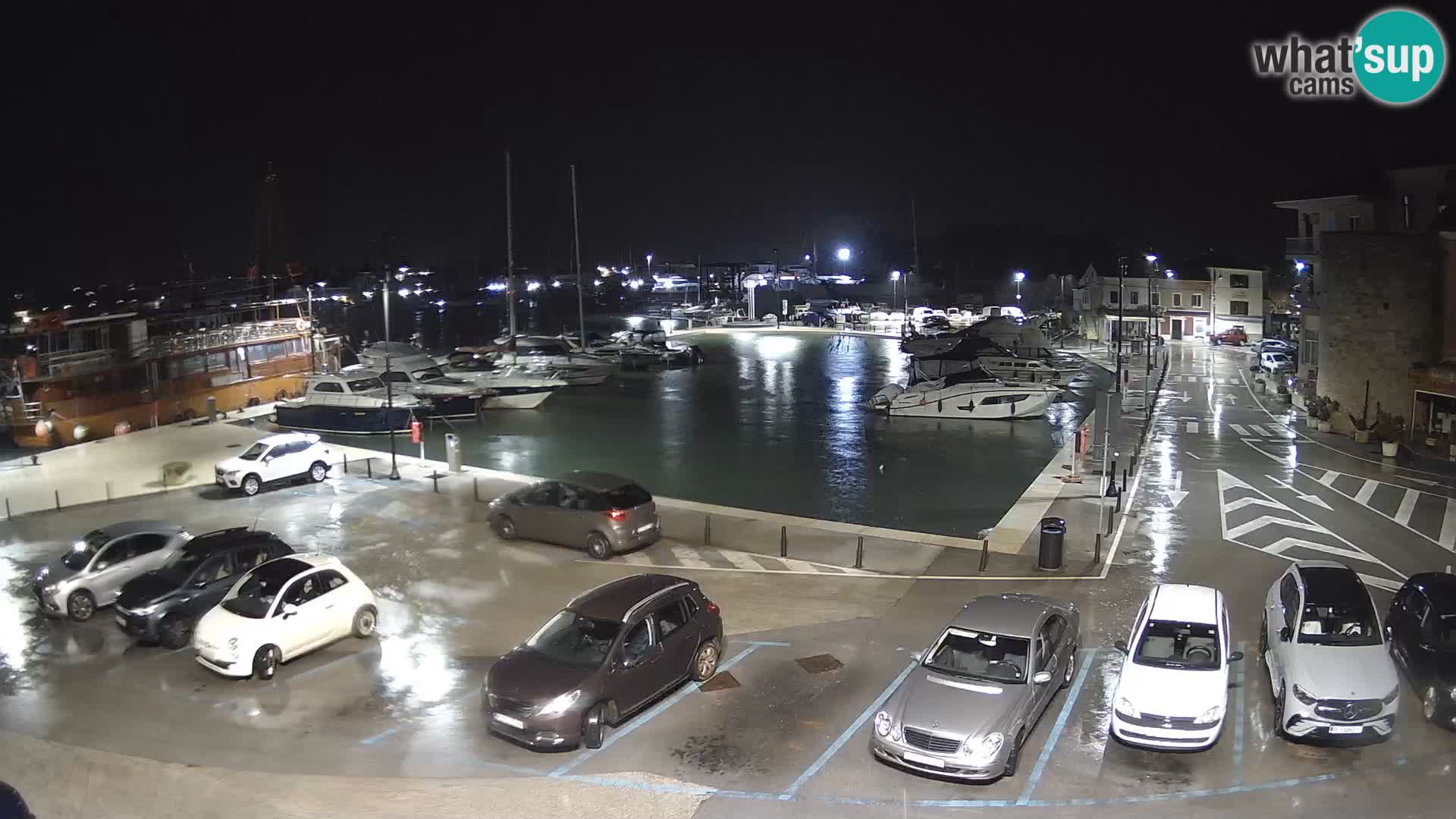 Novigrad | Porporela marina