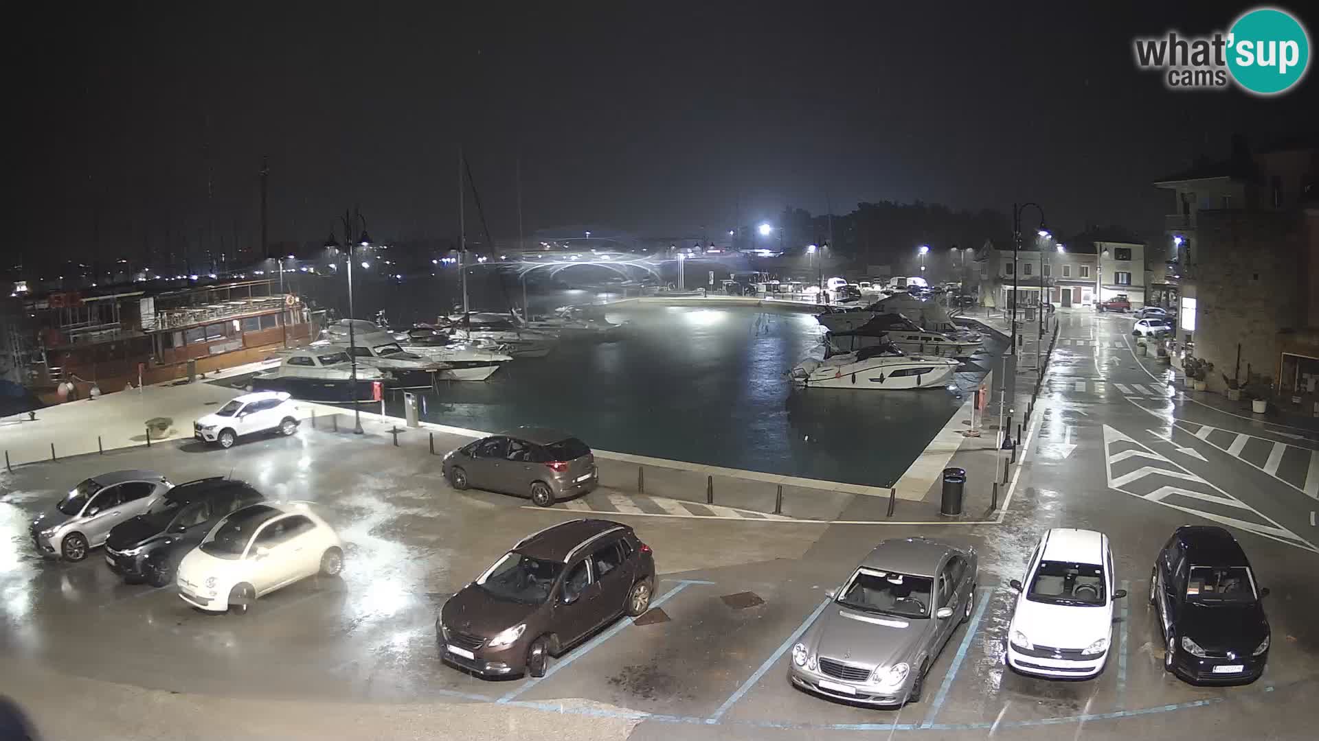 Novigrad | Porporela marina