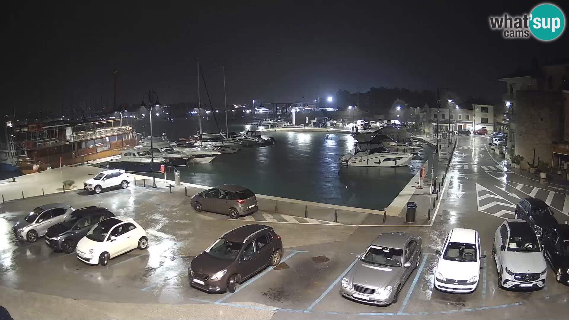 Novigrad | Porporela marina