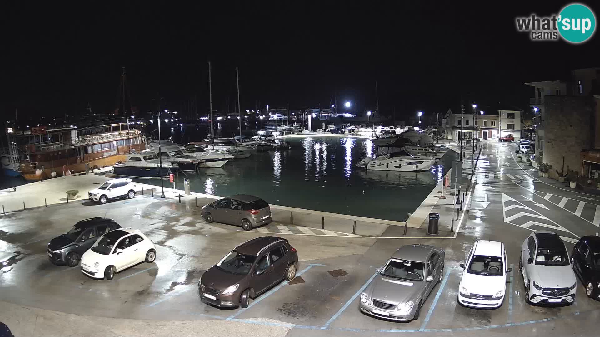 Novigrad | Porporela marina