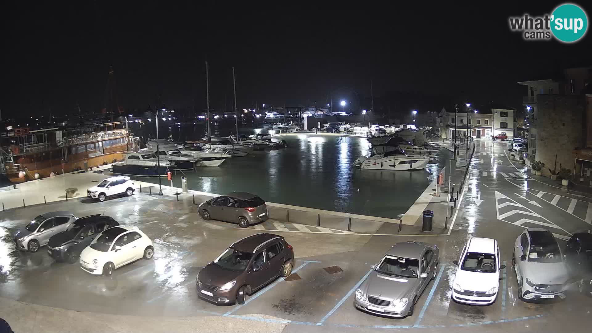 Novigrad | Porporela marina