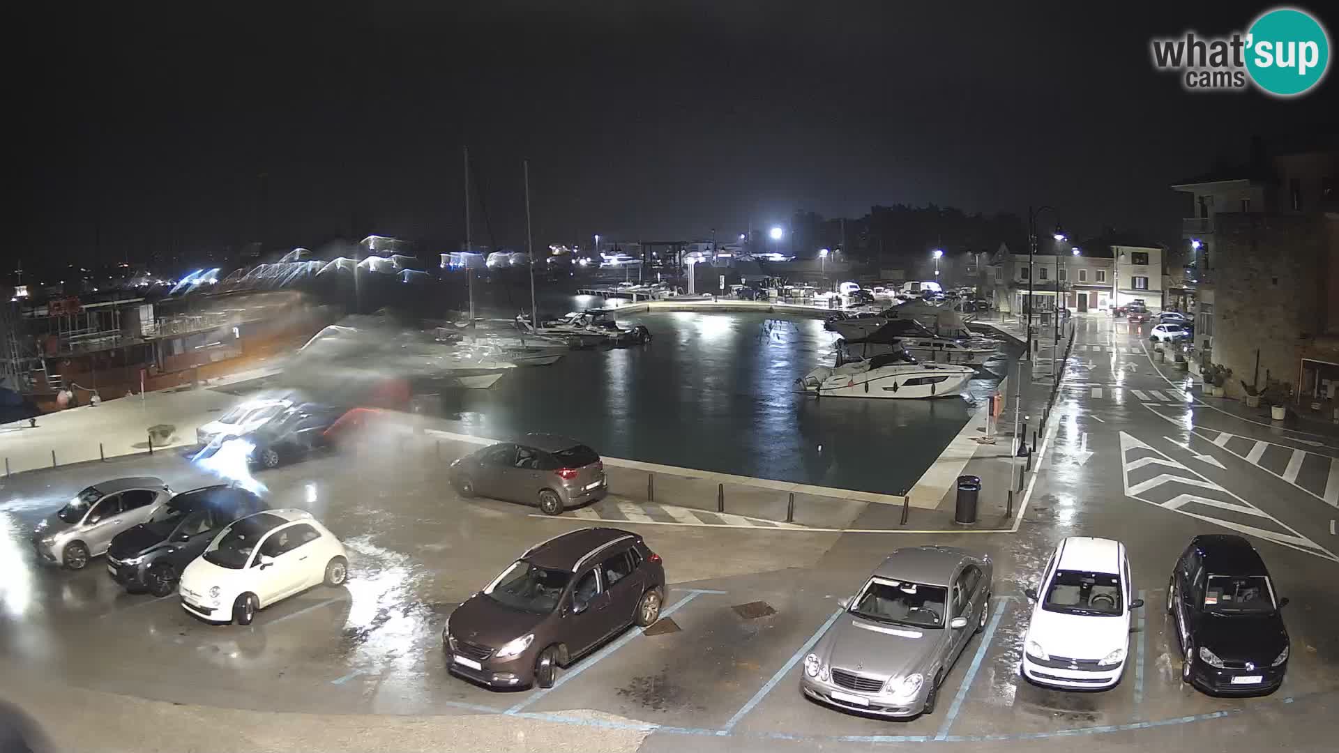 Novigrad | Porporela marina