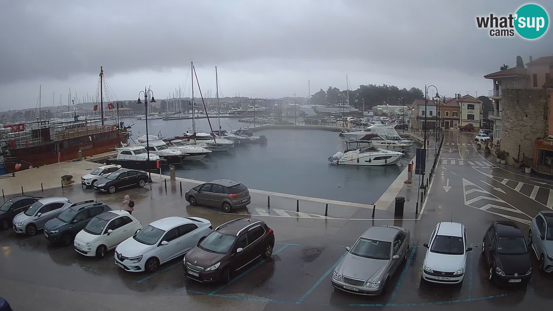 Novigrad | Porporela marina