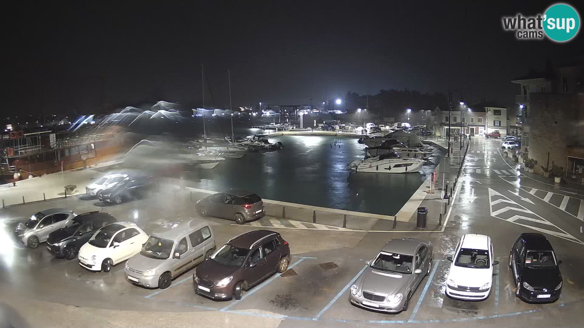 Novigrad | Porporela marina