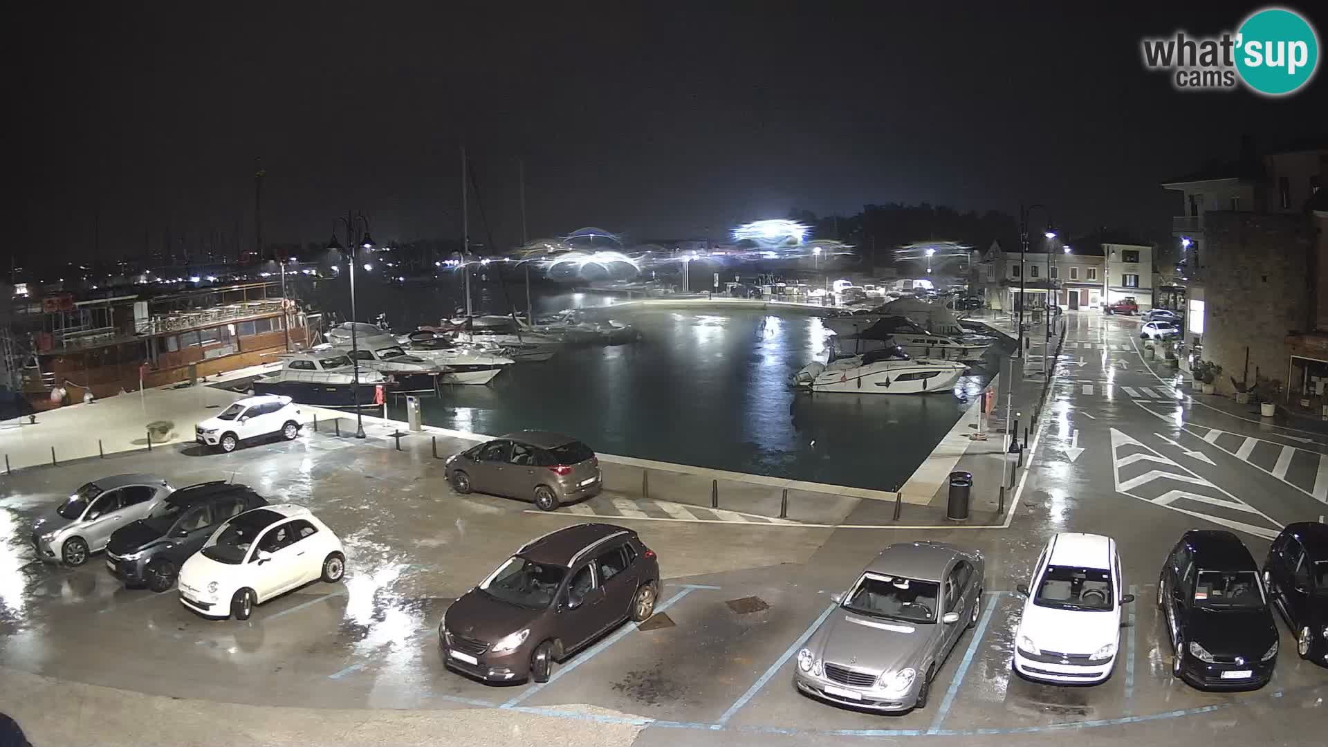 Novigrad | Porporela marina