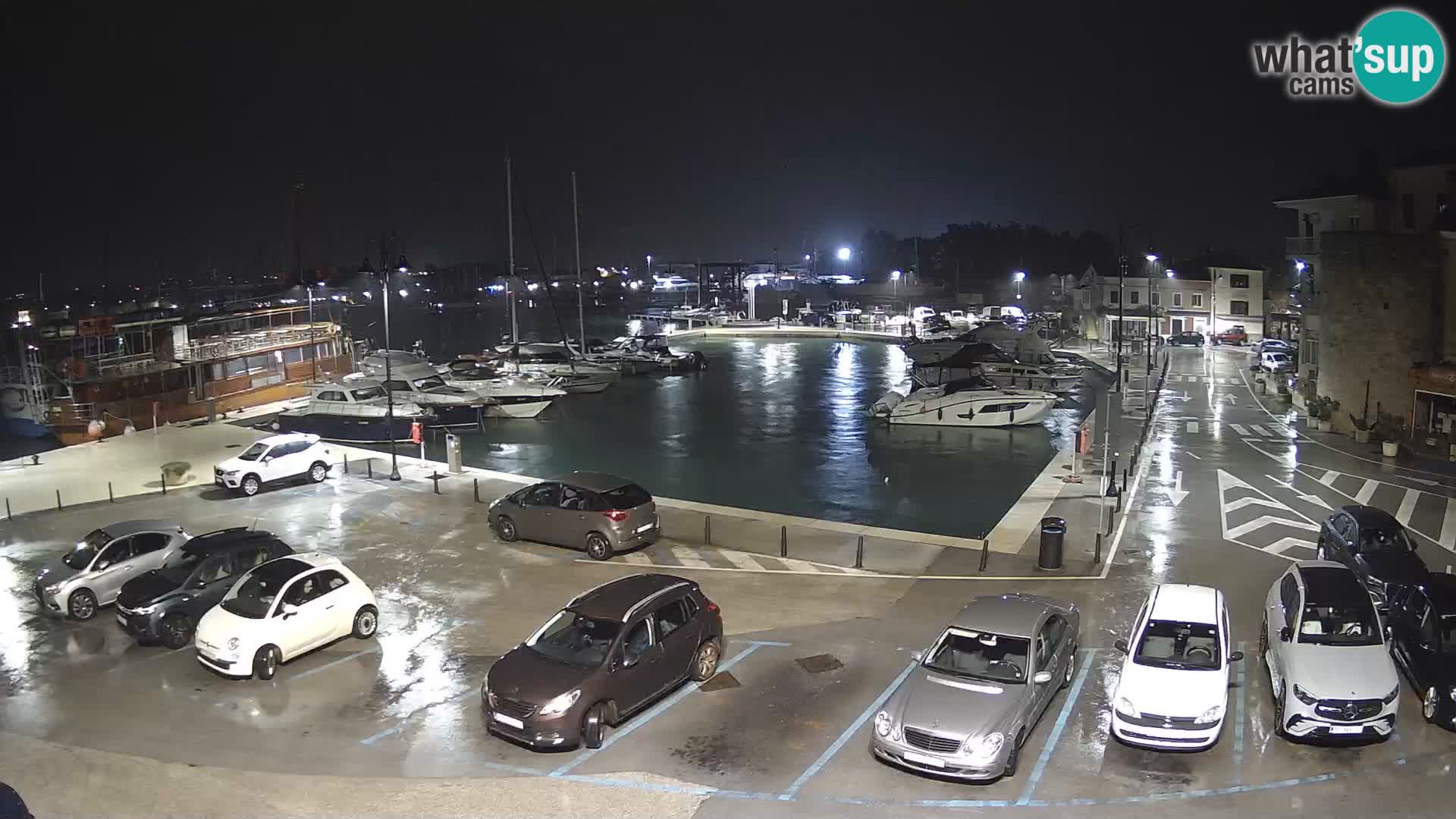 Novigrad | Porporela marina