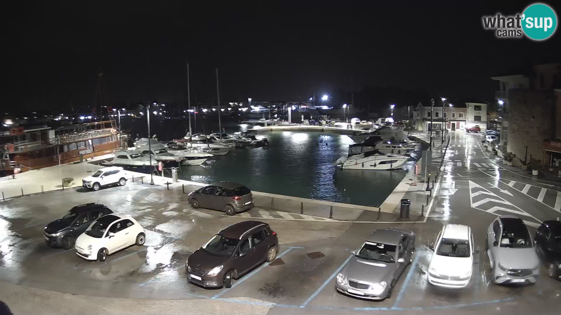 Novigrad | Porporela marina