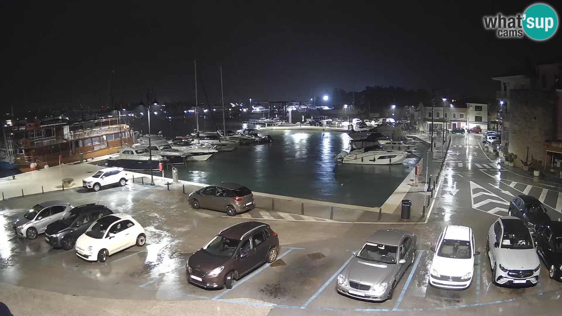 Novigrad | Porporela marina