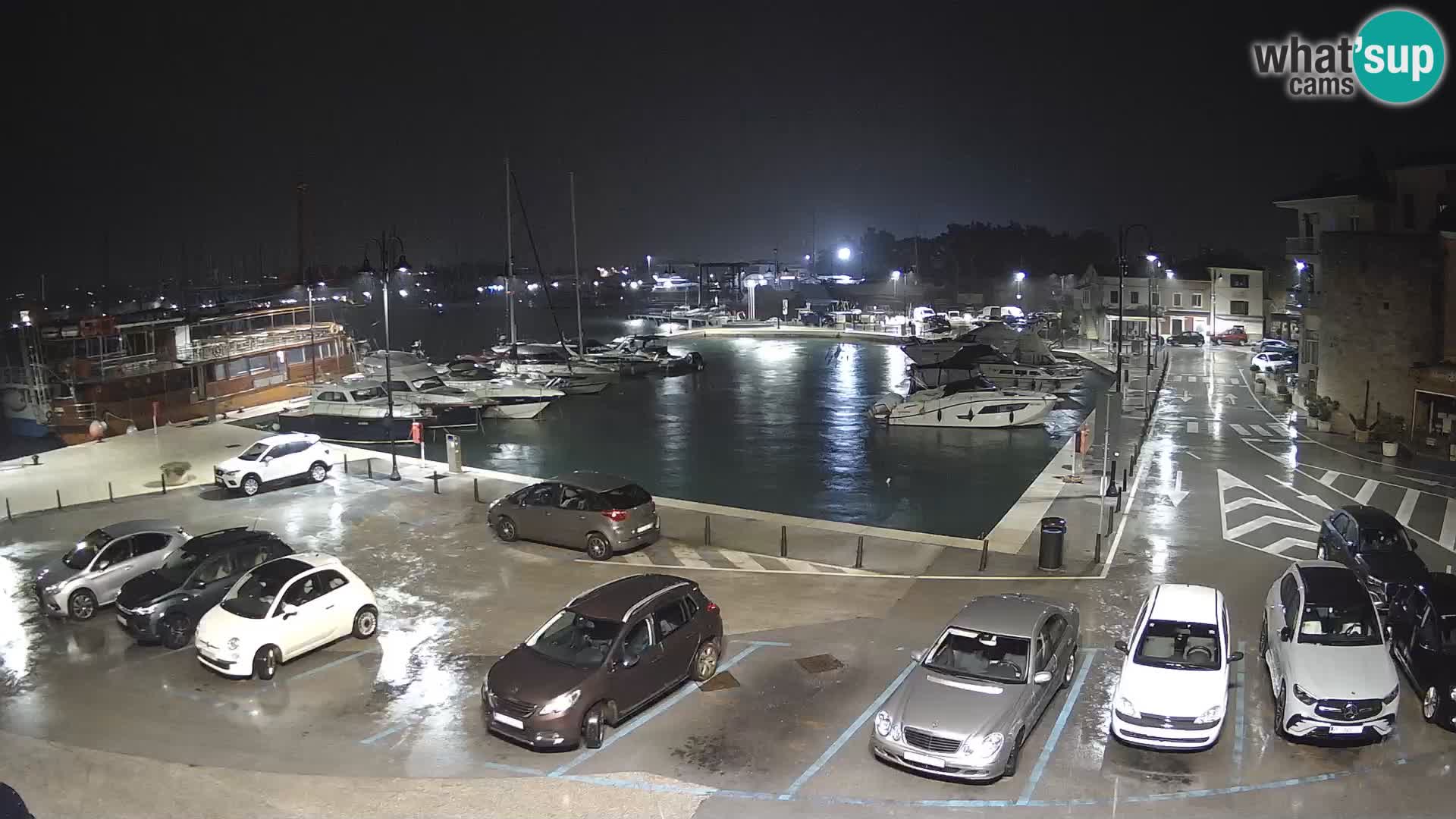 Novigrad | Porporela marina