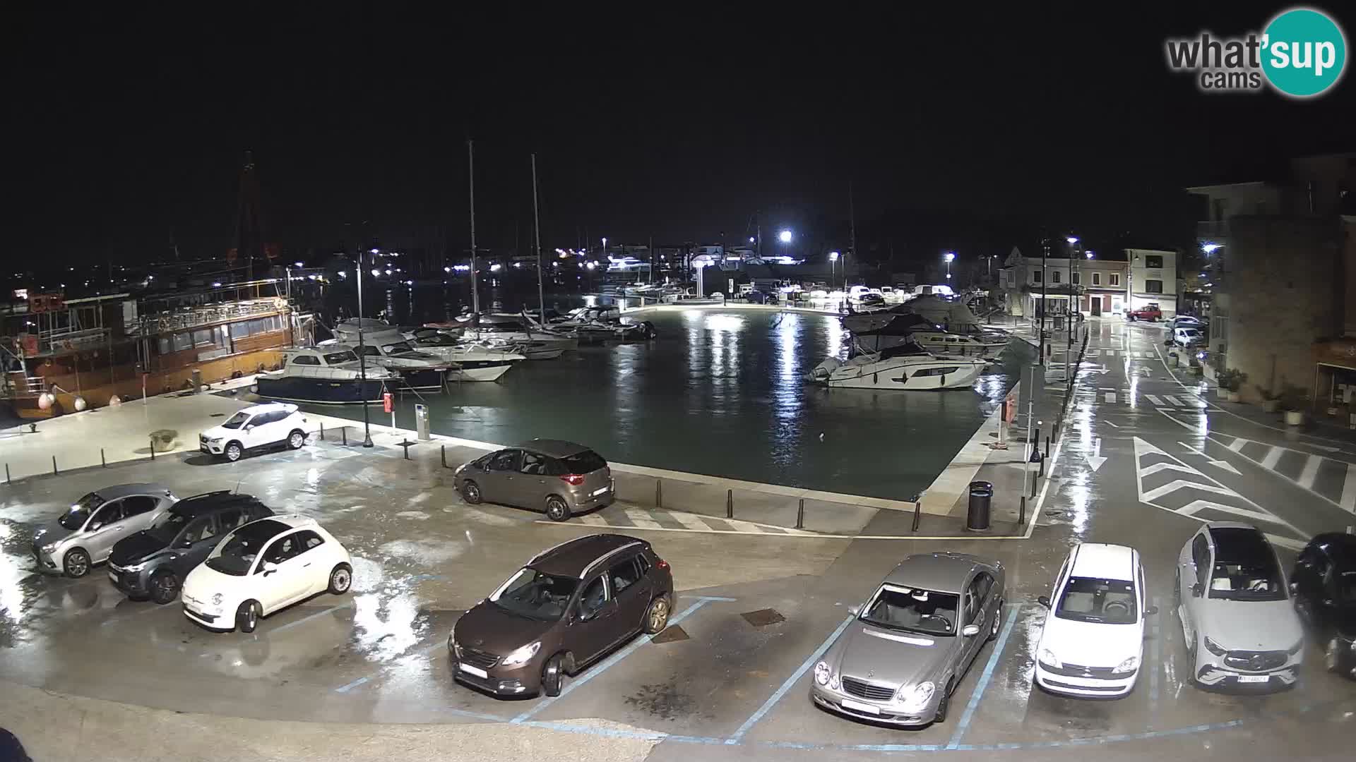 Novigrad | Porporela marina