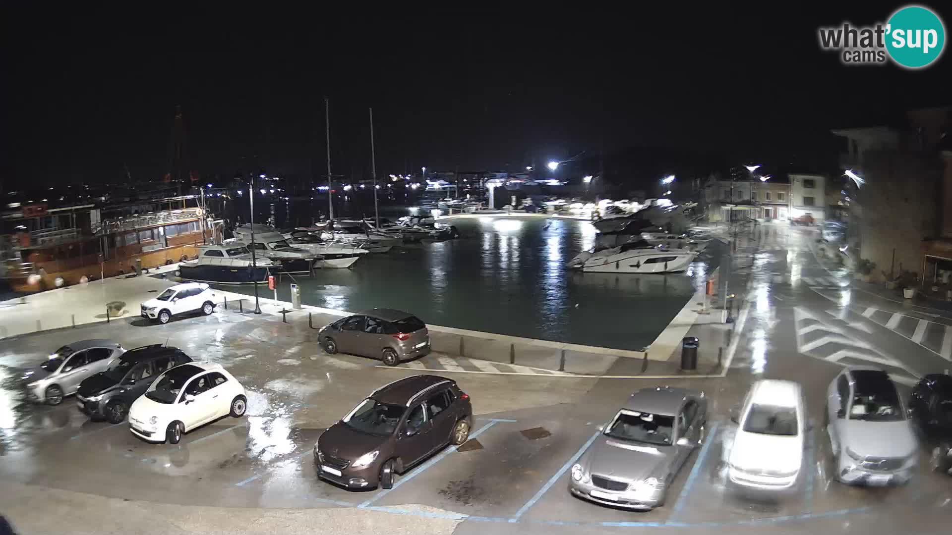 Novigrad | Porporela marina