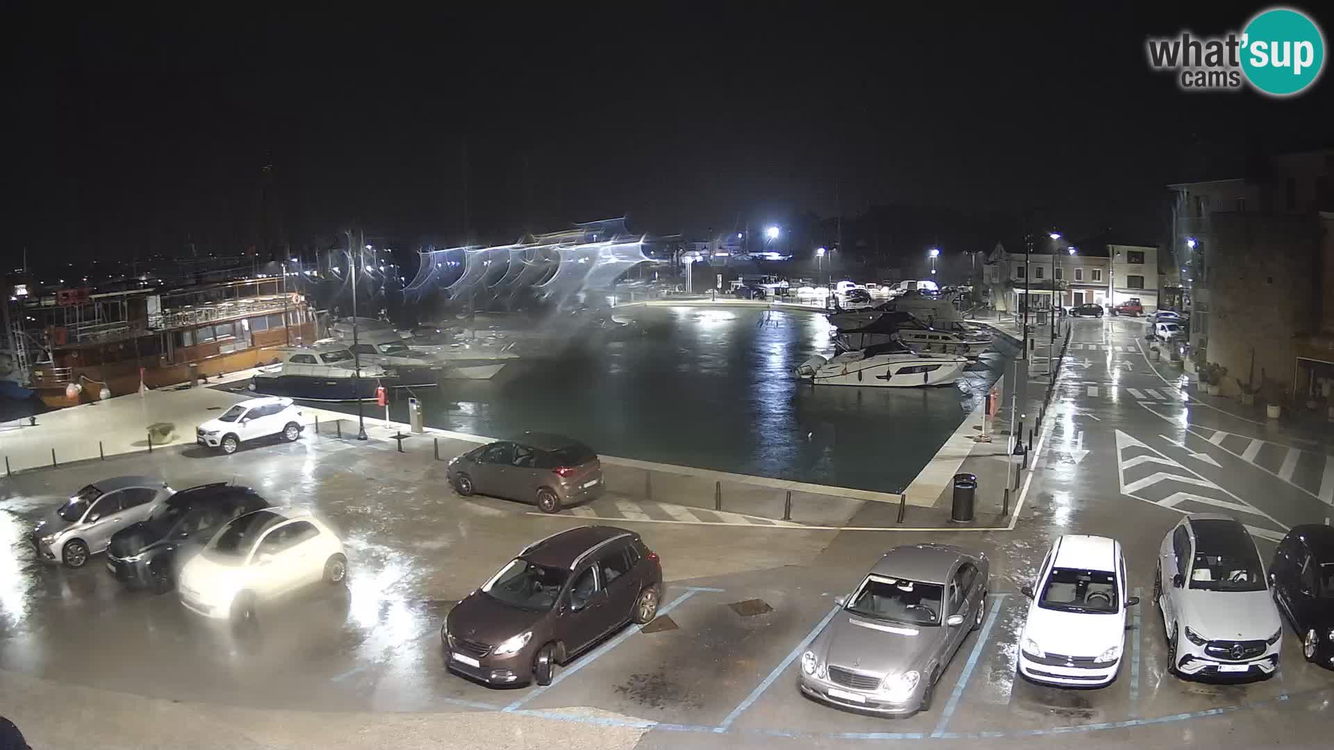 Novigrad | Porporela marina