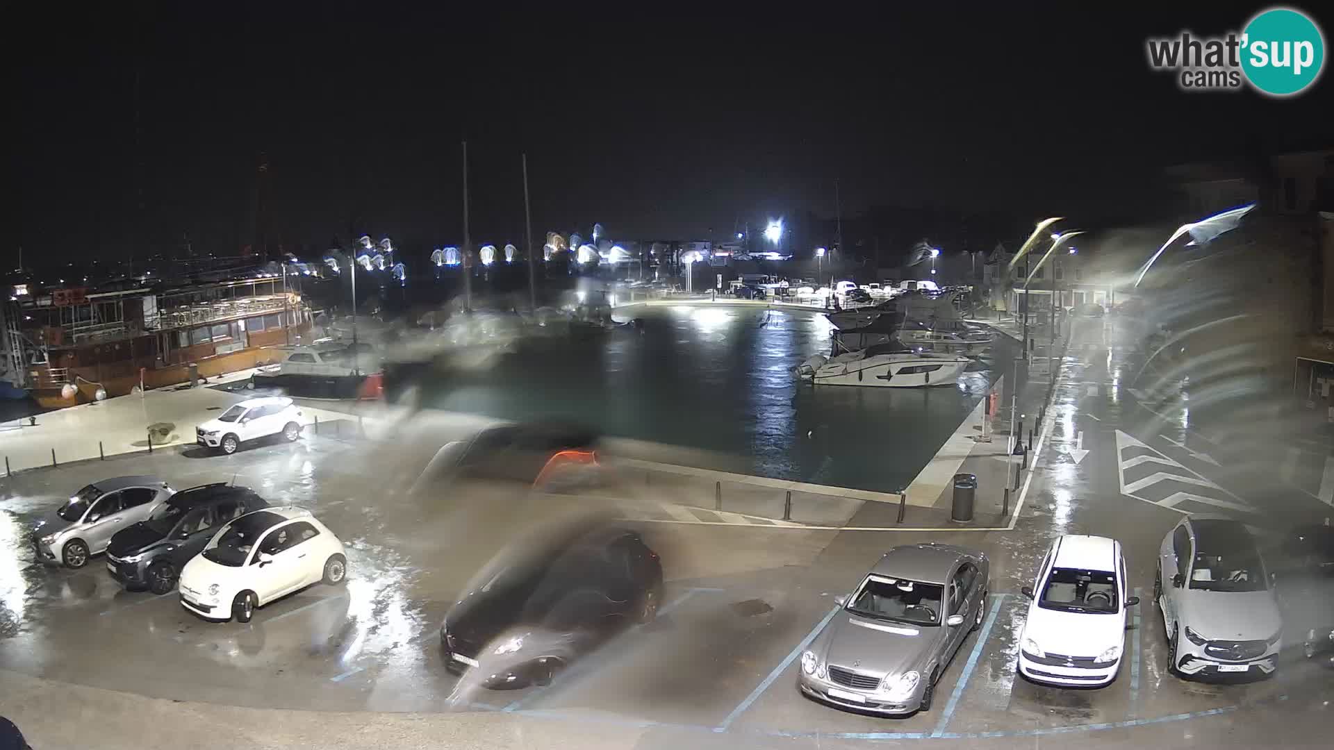 Novigrad | Porporela marina