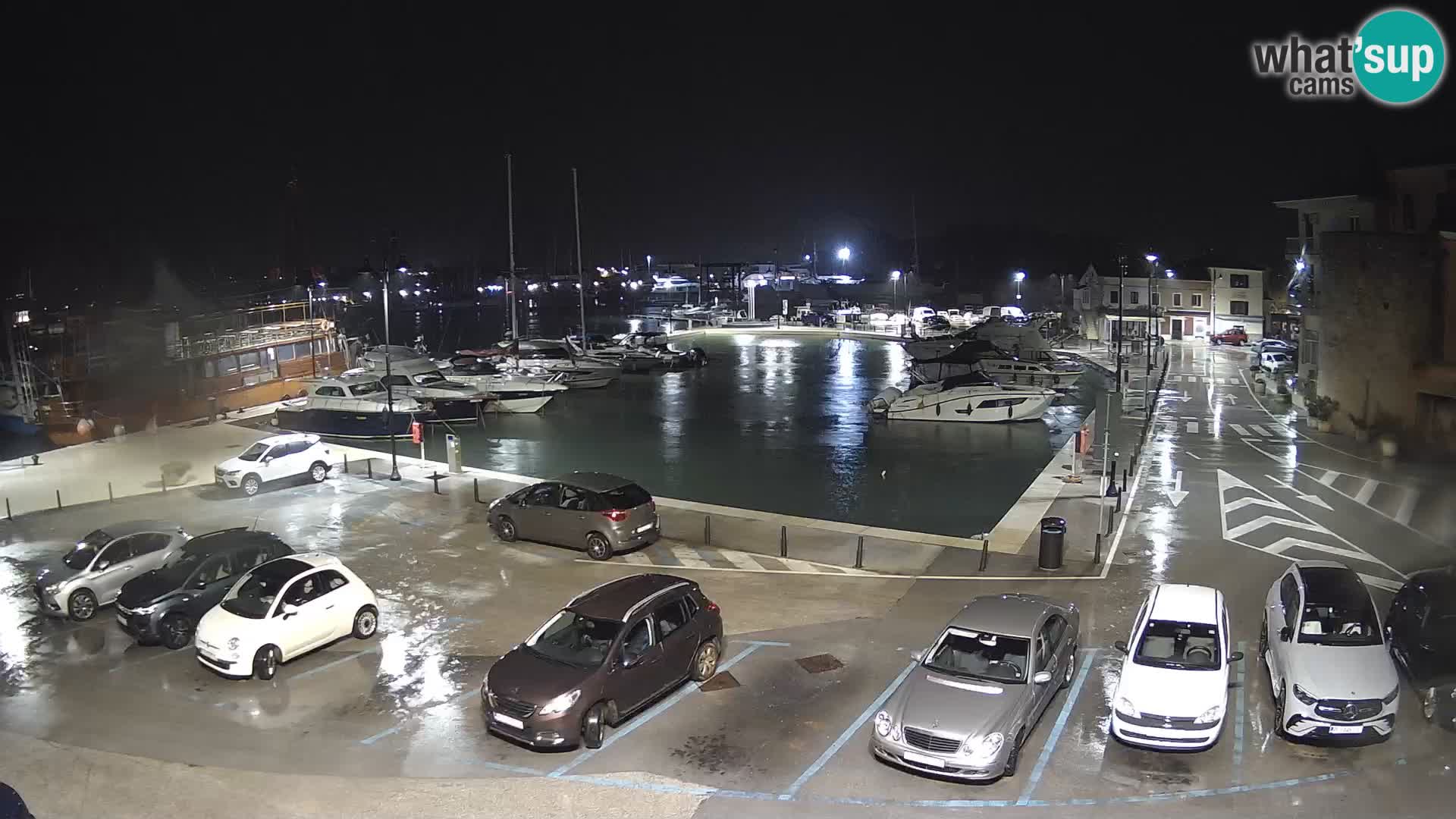 Novigrad | Porporela marina