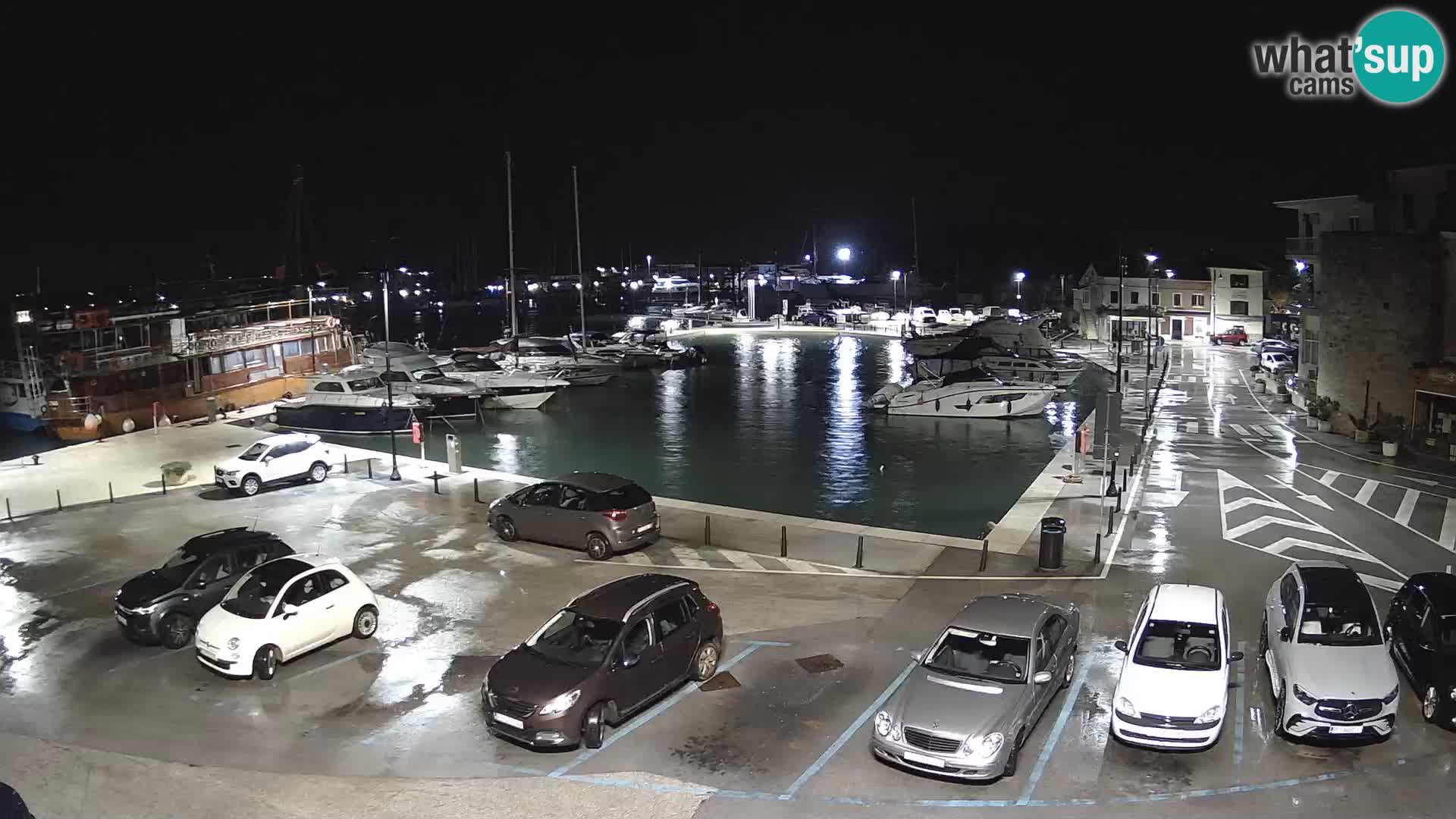 Novigrad | Porporela marina