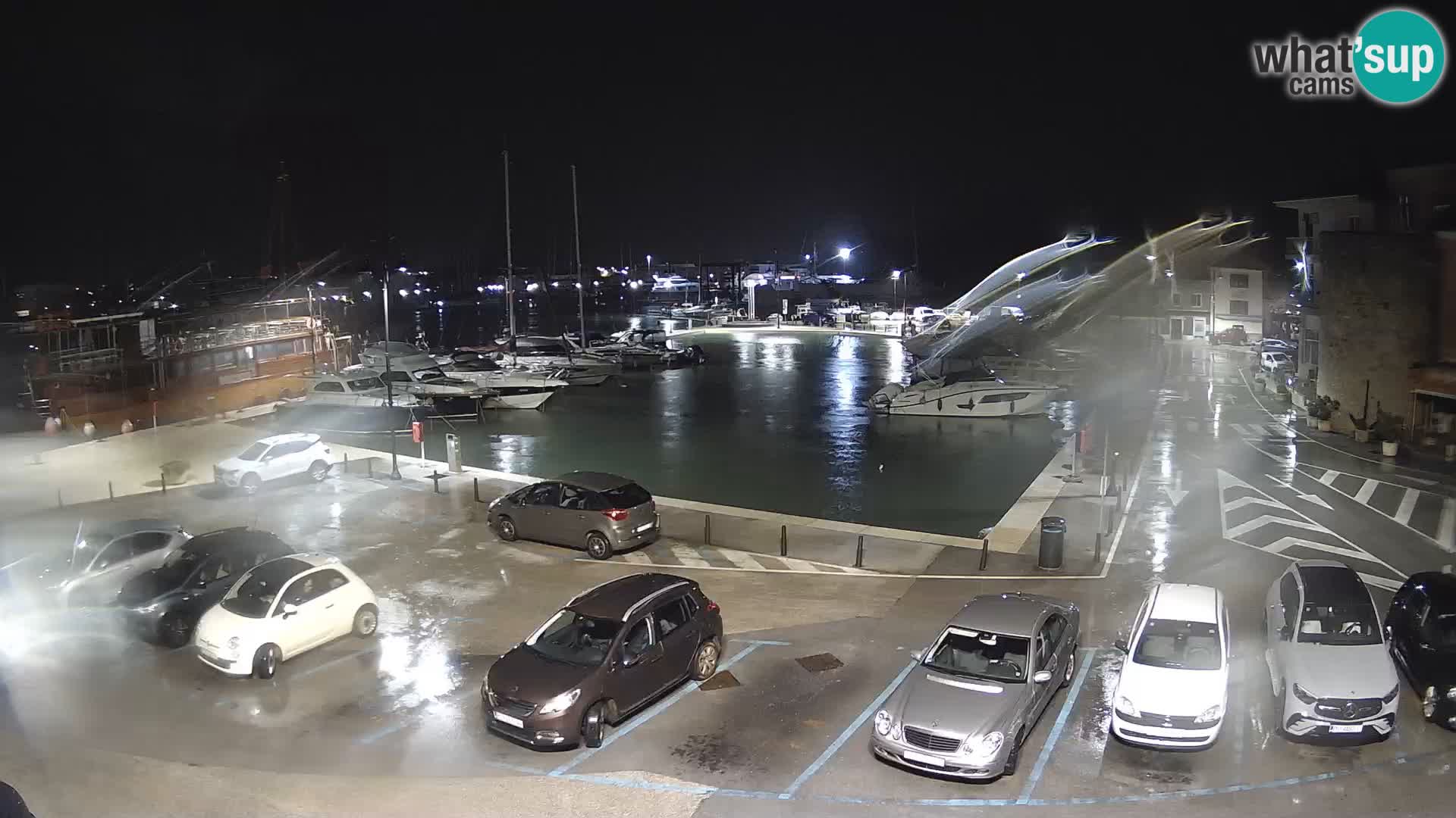 Novigrad | Porporela marina