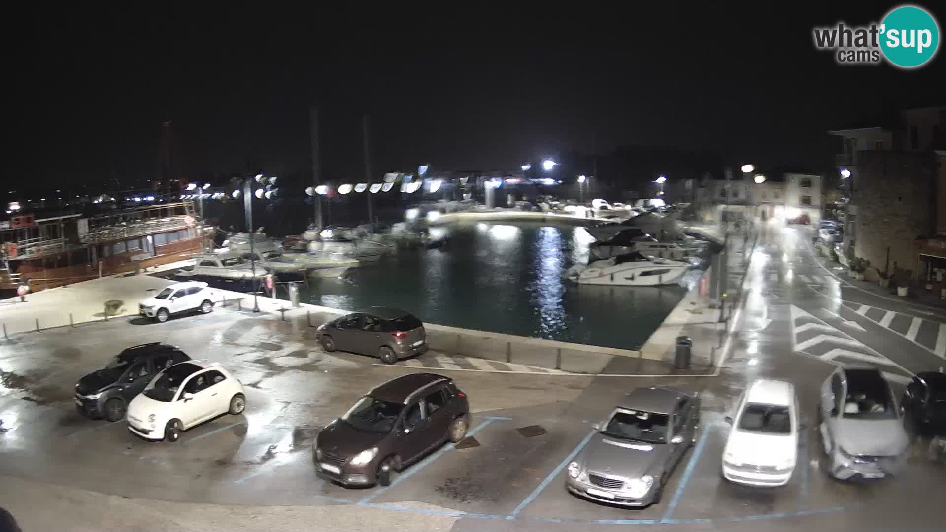 Novigrad | Porporela marina