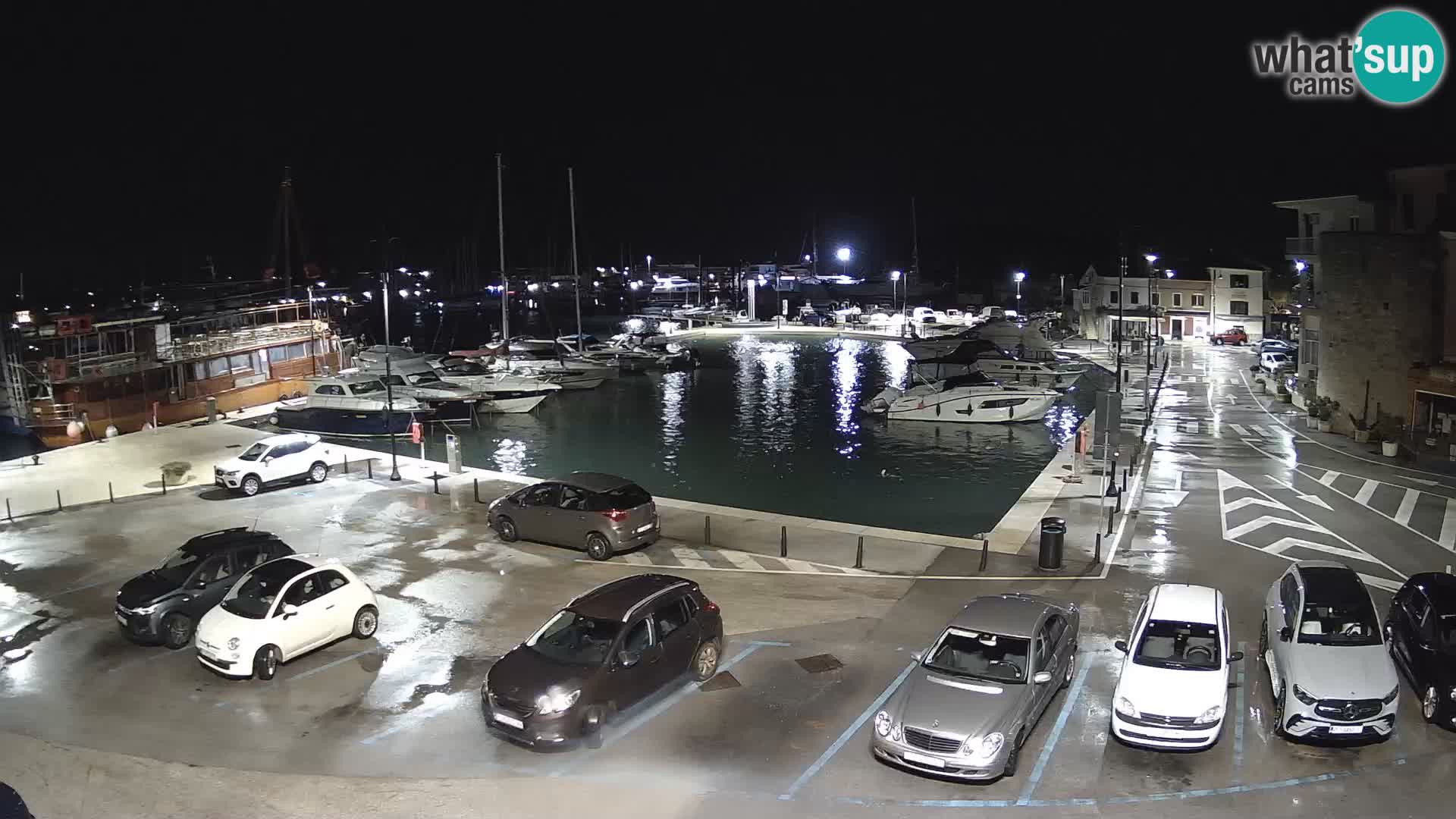 Novigrad | Porporela marina