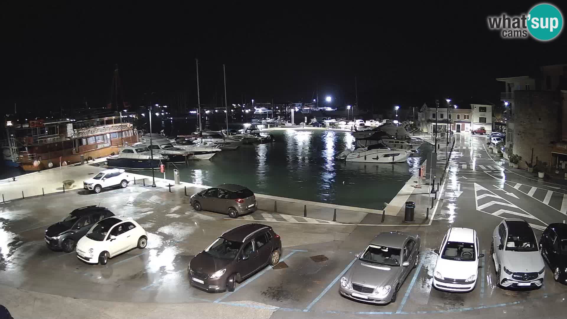 Novigrad | Porporela marina