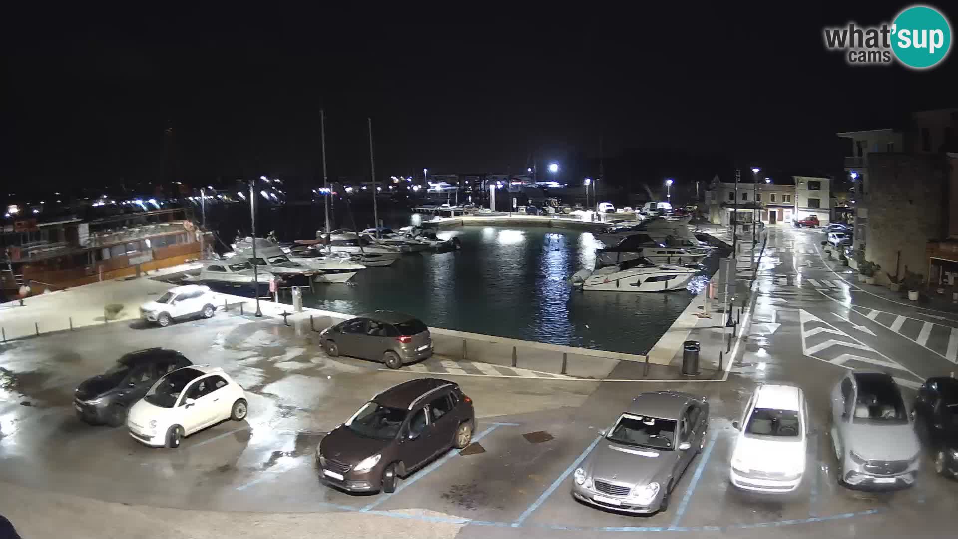 Novigrad | Porporela marina
