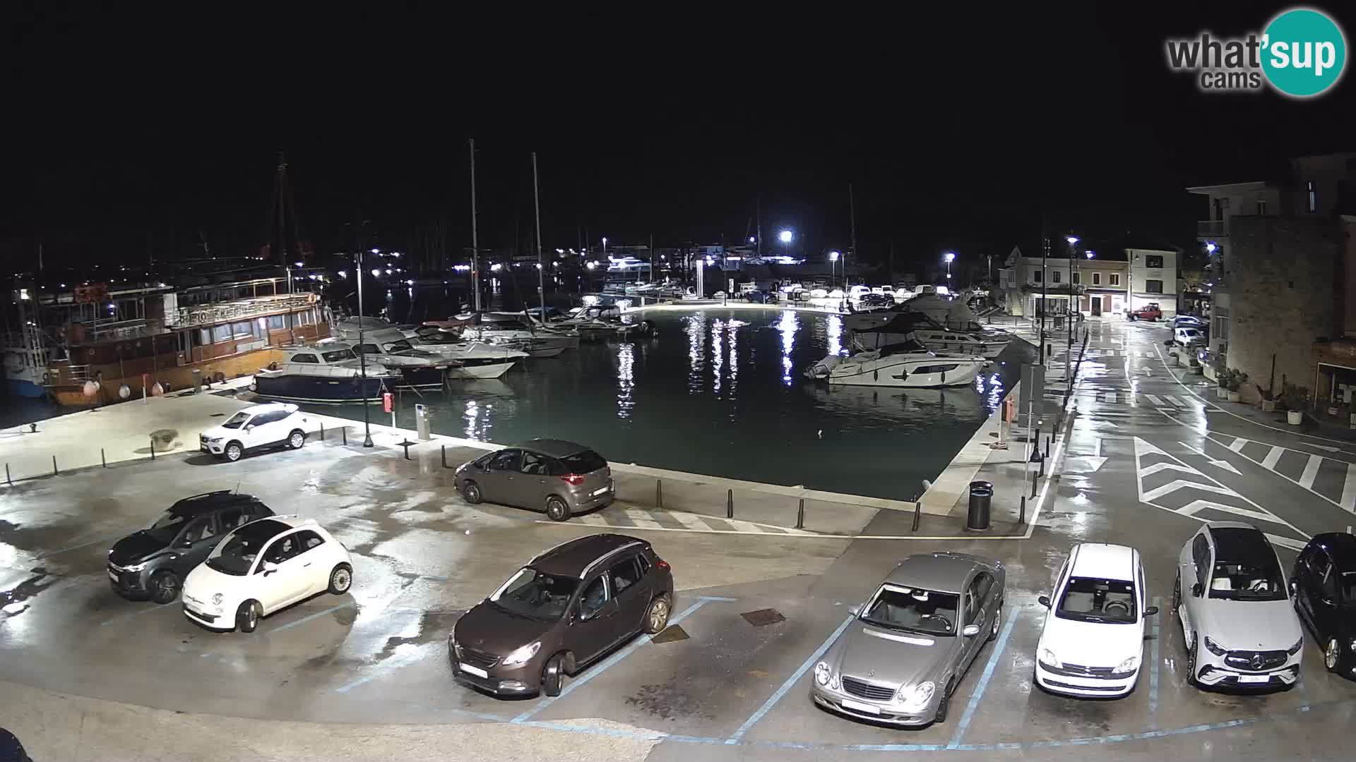Novigrad | Porporela marina