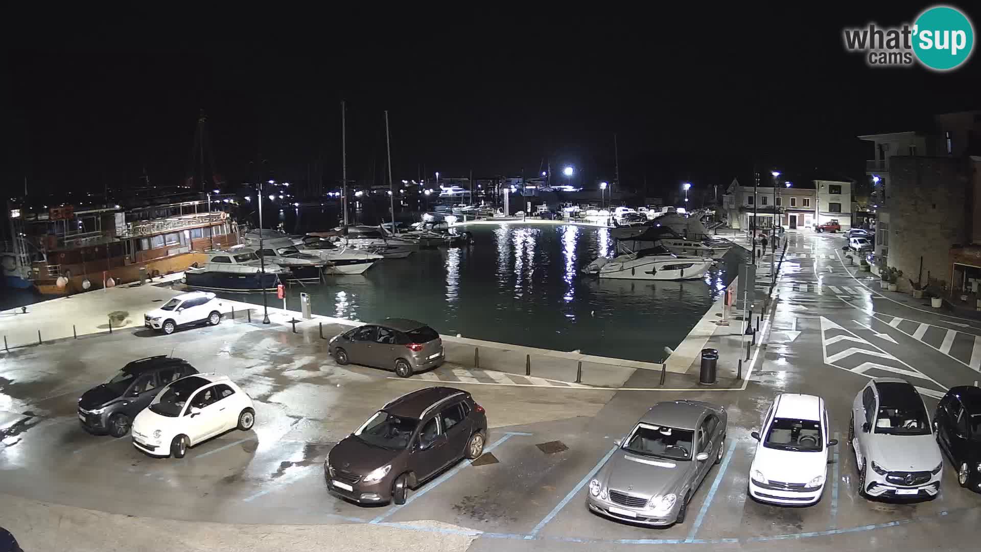 Novigrad | Porporela marina