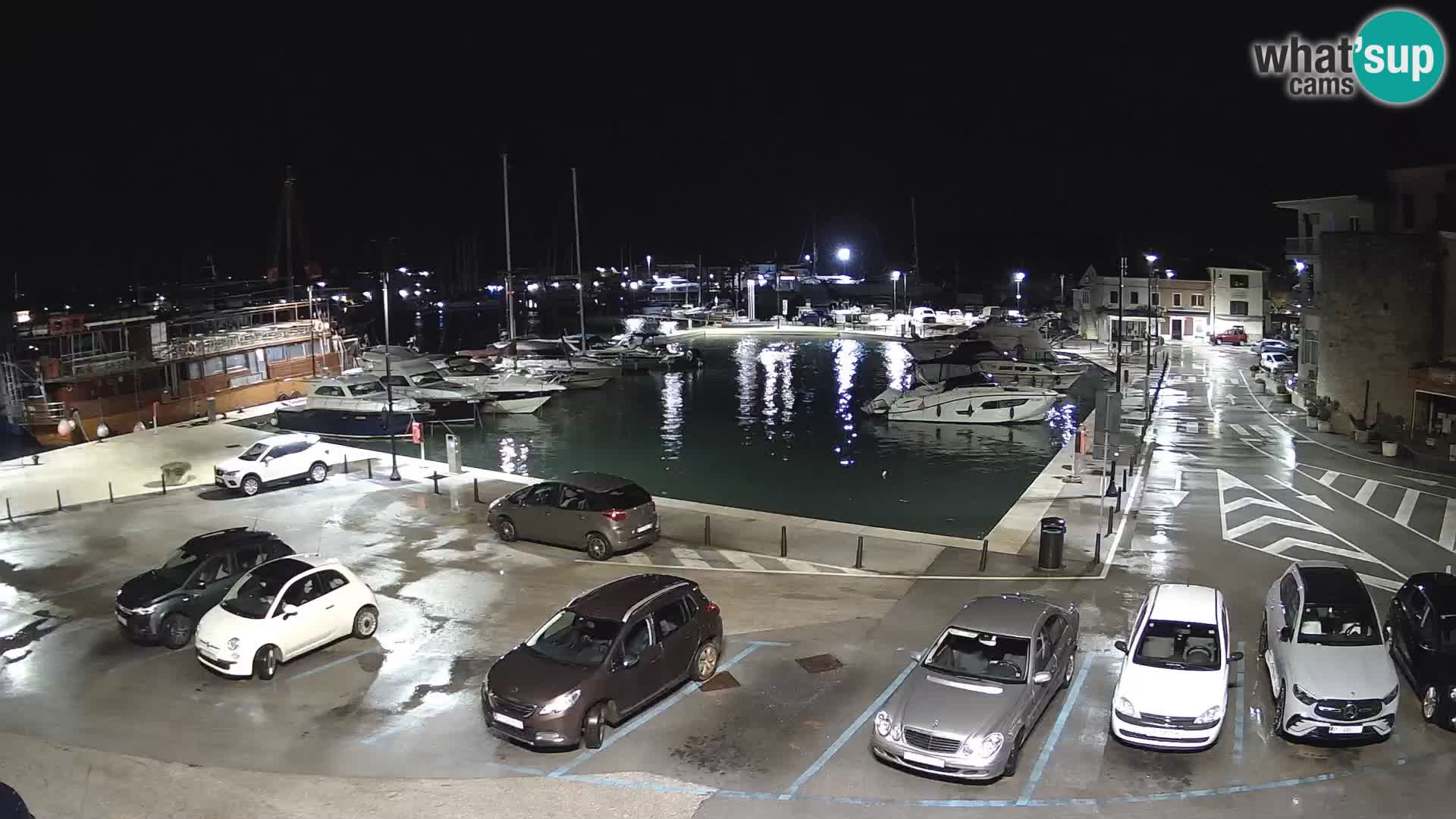 Novigrad | Porporela marina