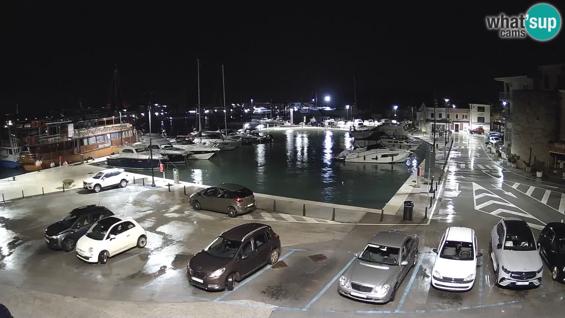 Novigrad | Porporela marina