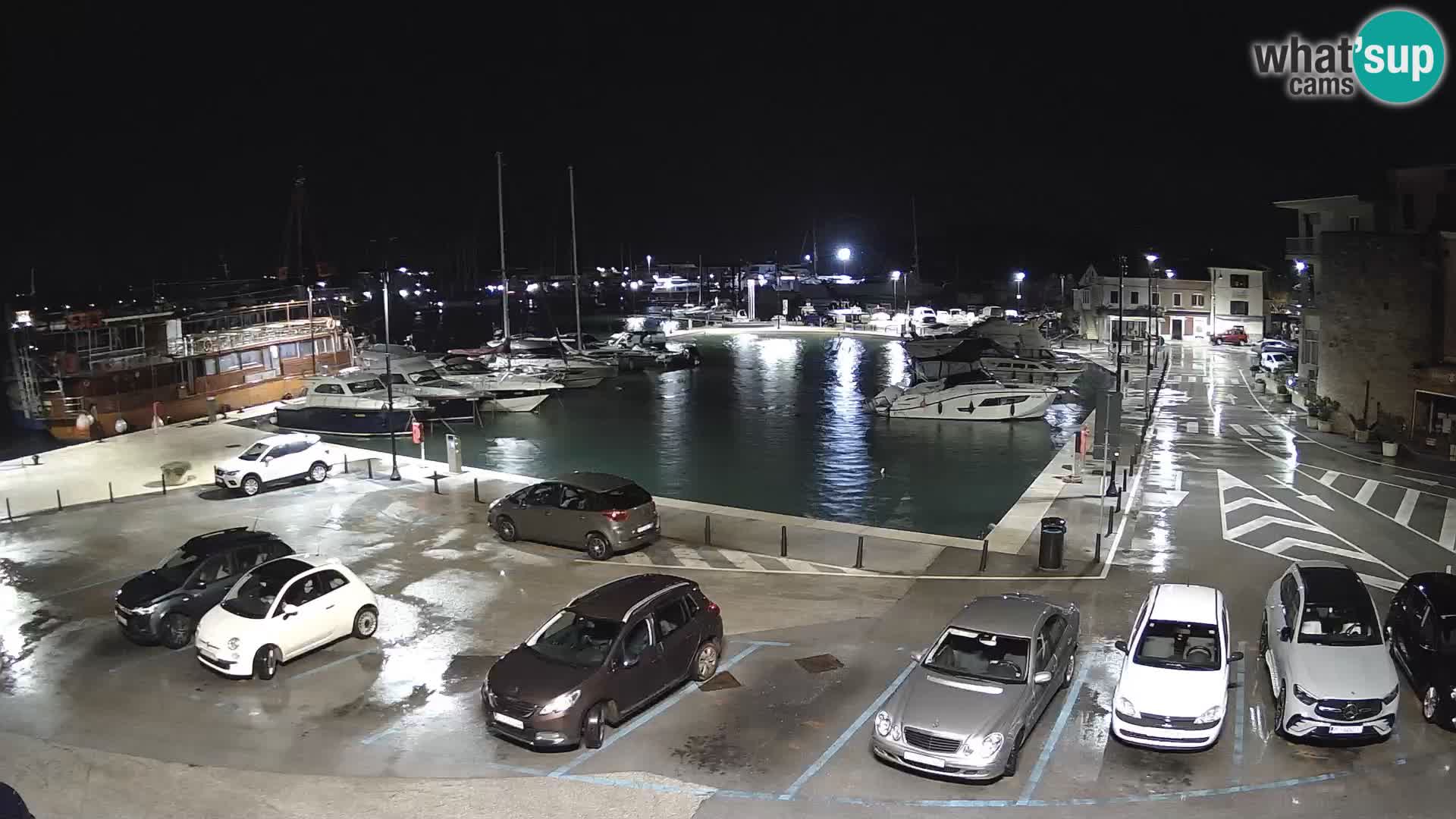 Novigrad | Porporela marina