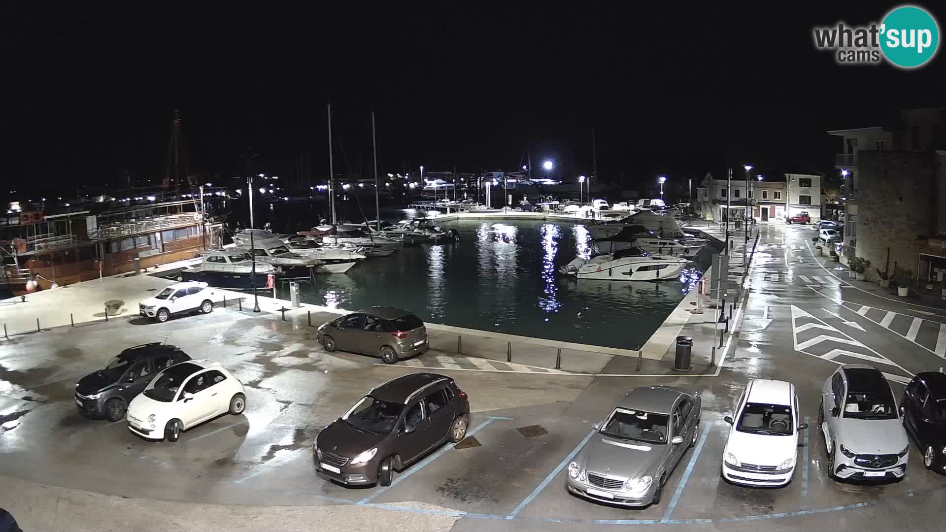 Novigrad | Porporela marina