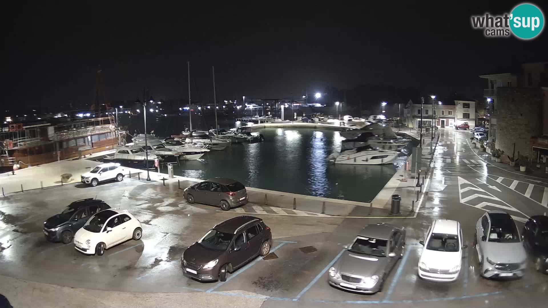 Novigrad | Porporela marina