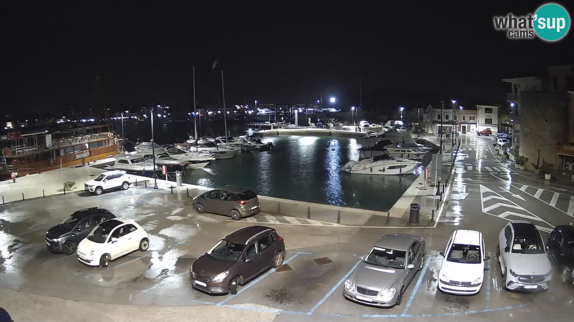 Novigrad | Porporela marina