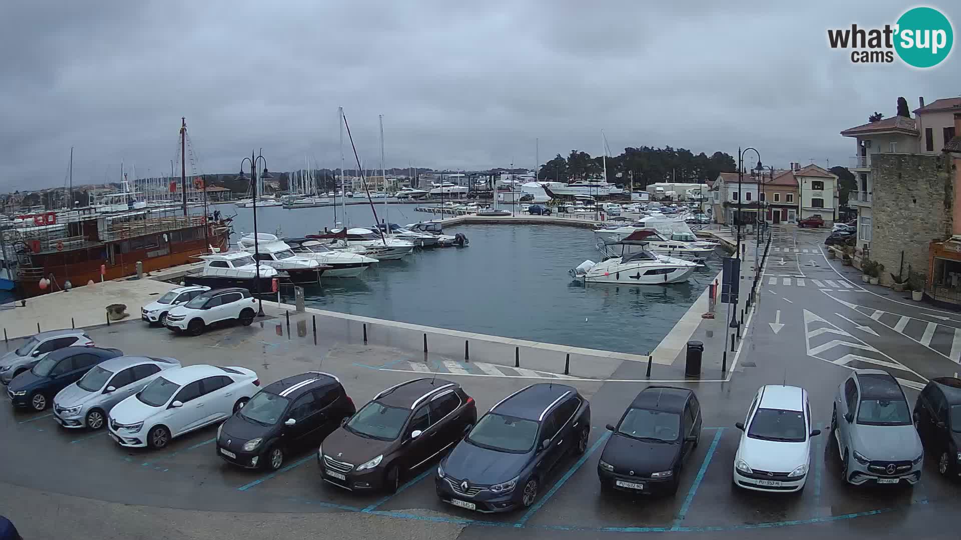 Novigrad | Porporela marina